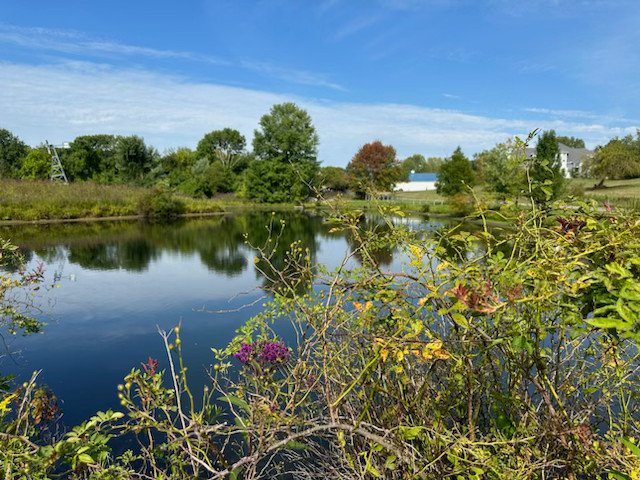 IMG_7747.jpg