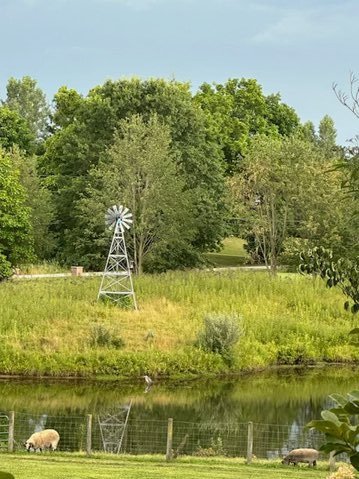 IMG_6960.jpg