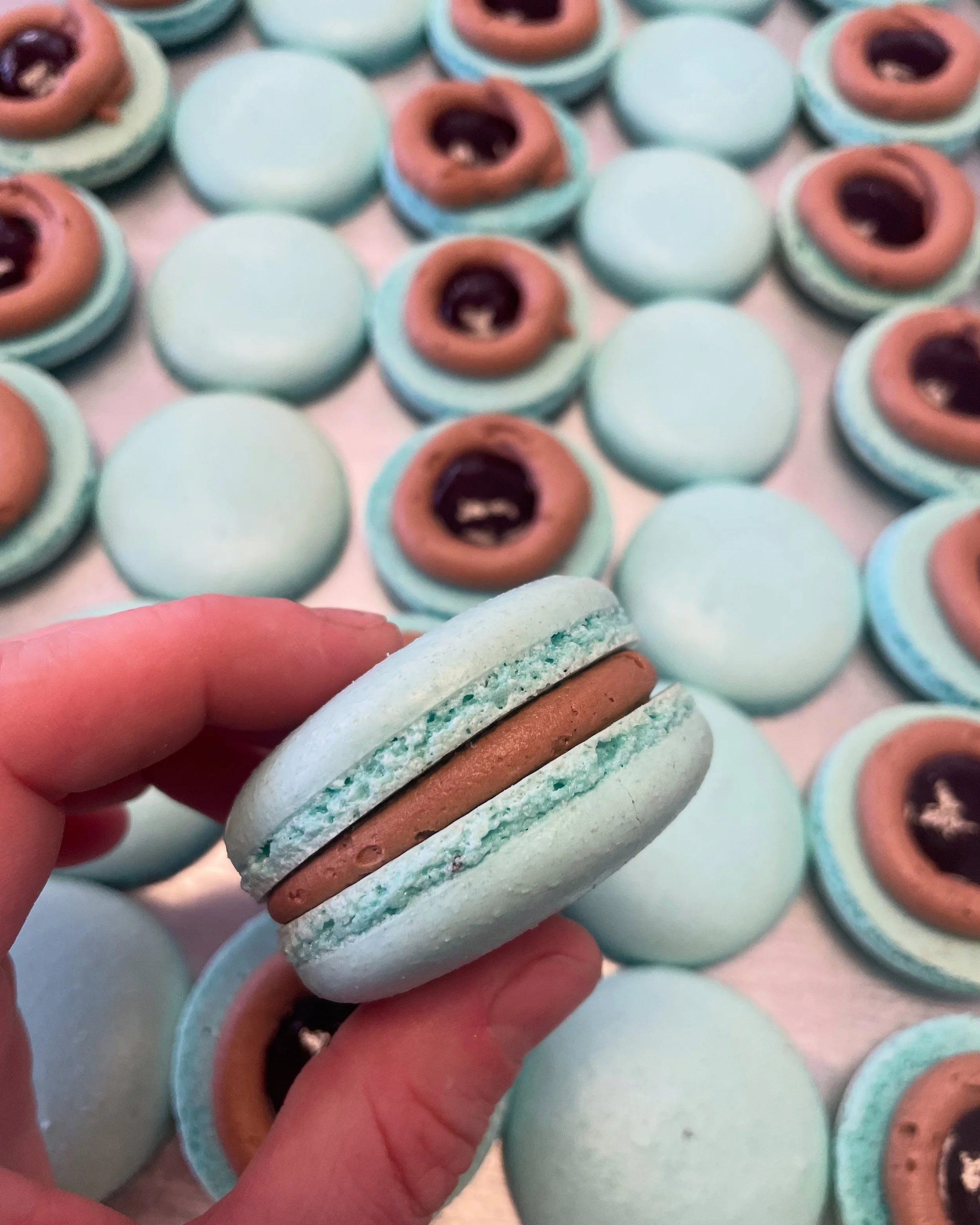 SEED CONFECTIONS POP-UP