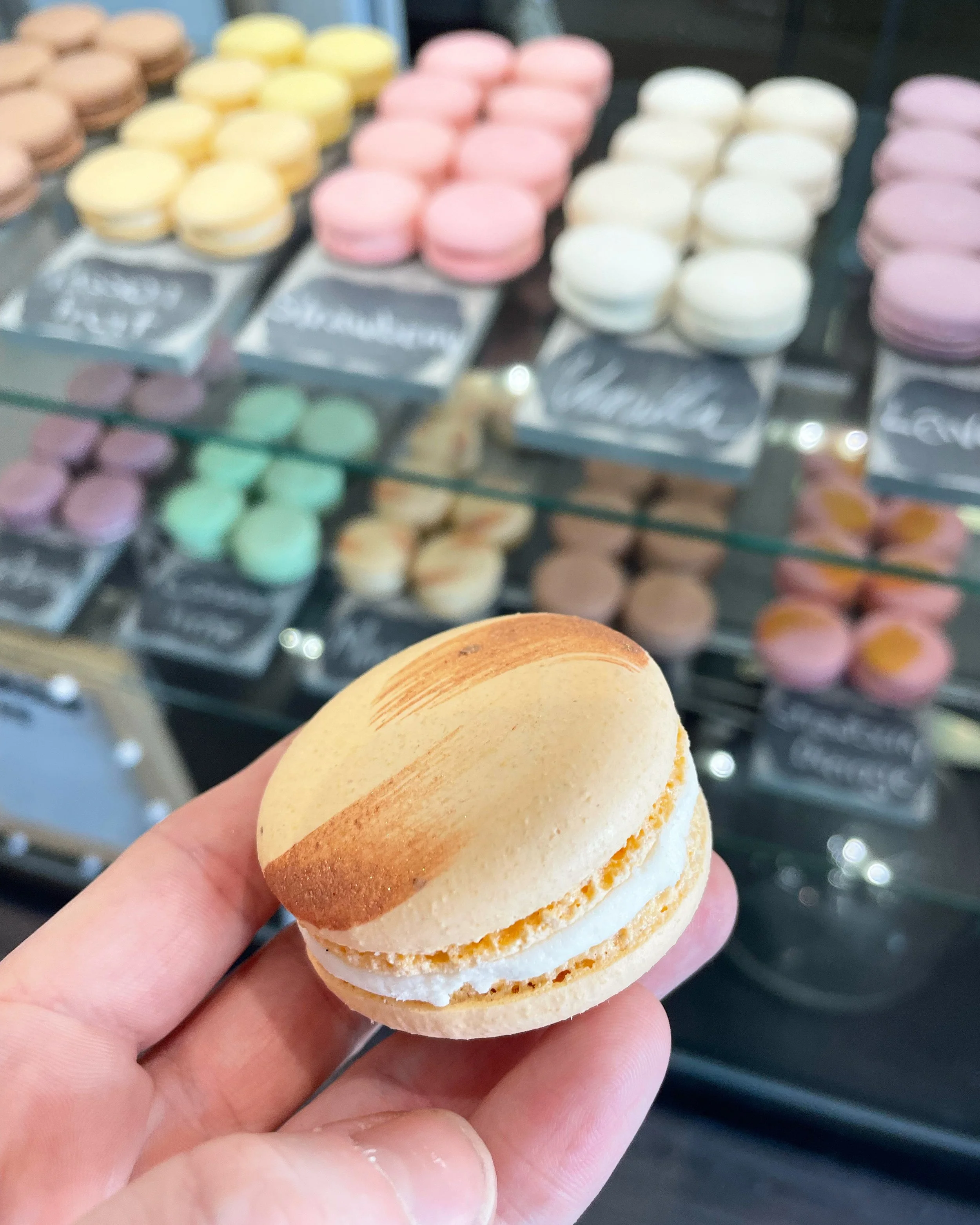 SEED CONFECTION POP-UP