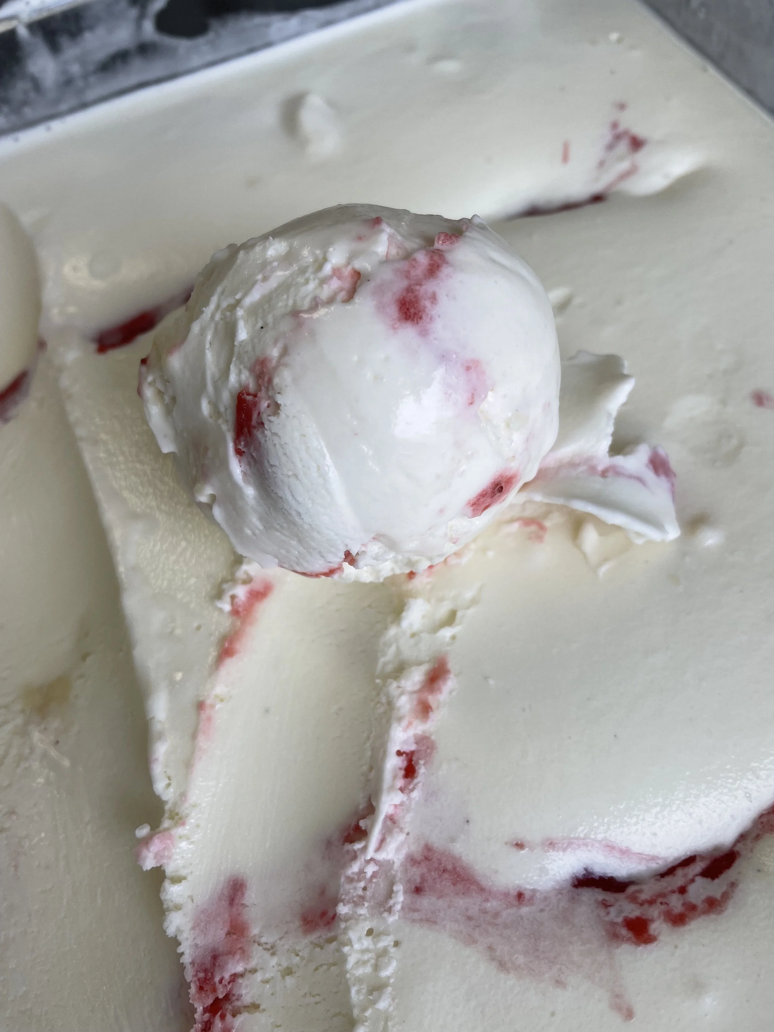 SEED CONFECTIONS POP-UP