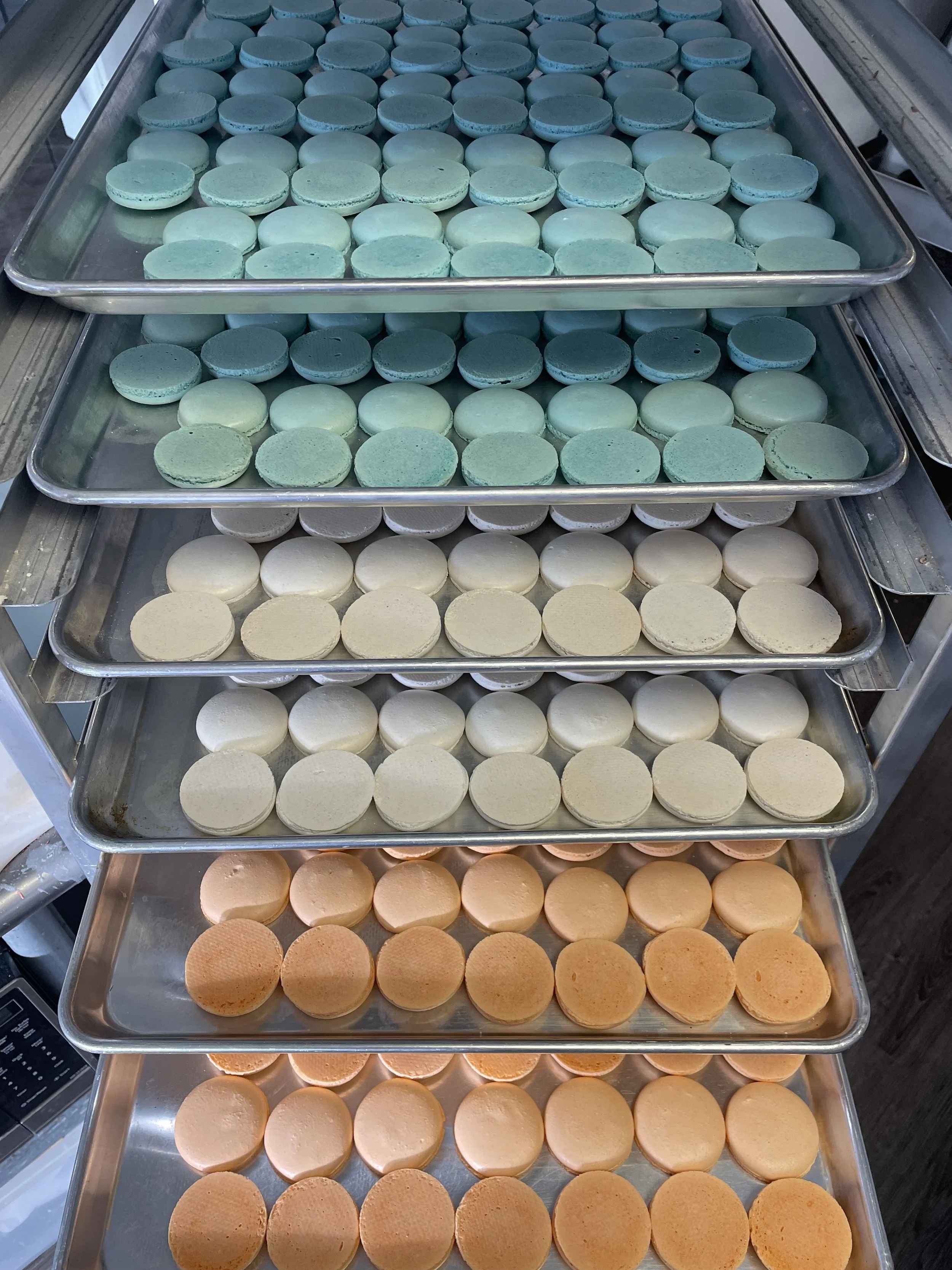 SEED CONFECTIONS POP-UP