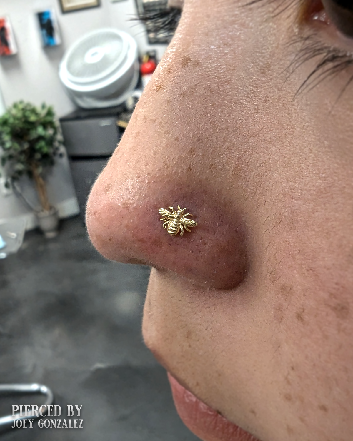 bumblebeejunipurrnostril.png