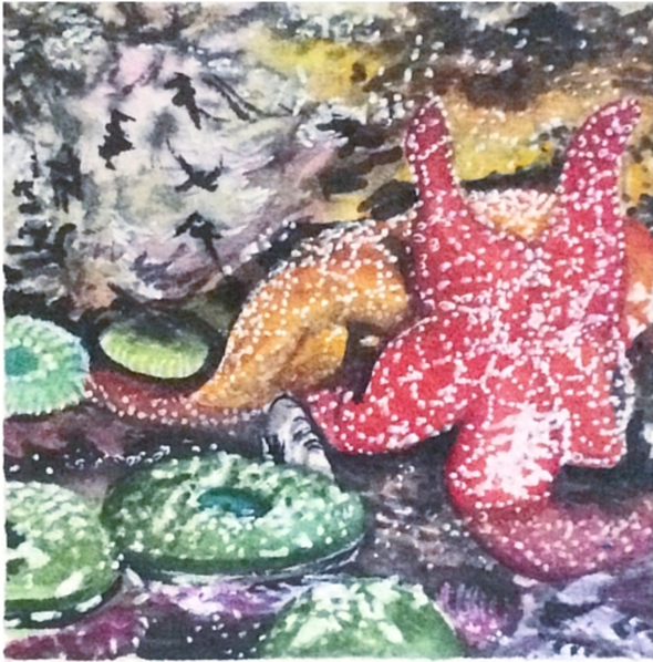 March 9, 2016 watercolour on Arches Aquarelle 140 lb paper two inches x two inches SOLD