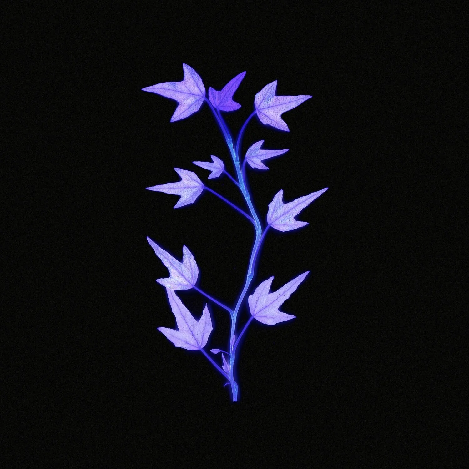 Library Baby- "Dewy"