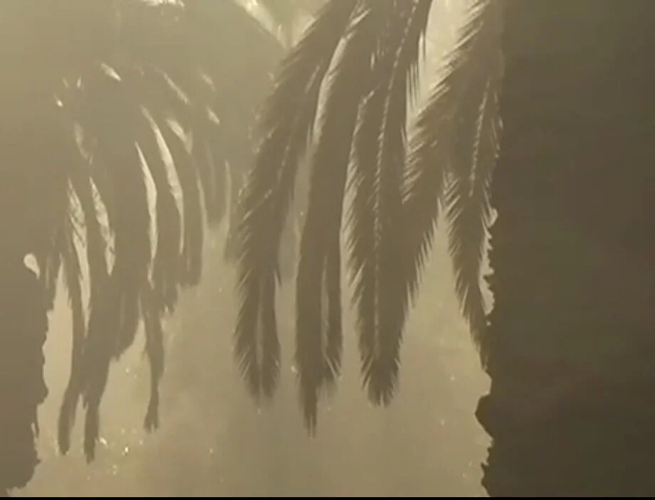 Stephen Heath- “Just Dezzerts”