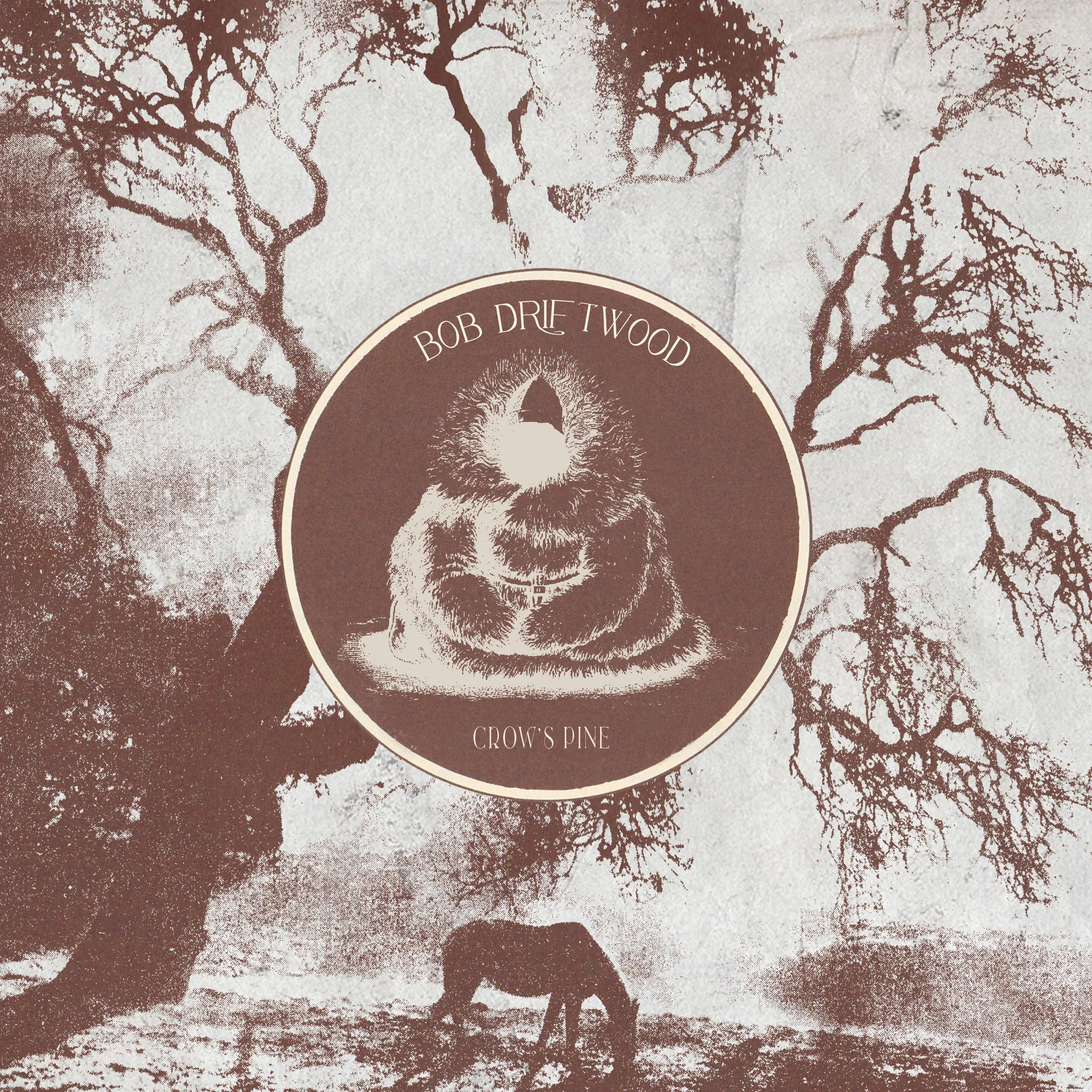 Bob Driftwood- "Ivory Tower"