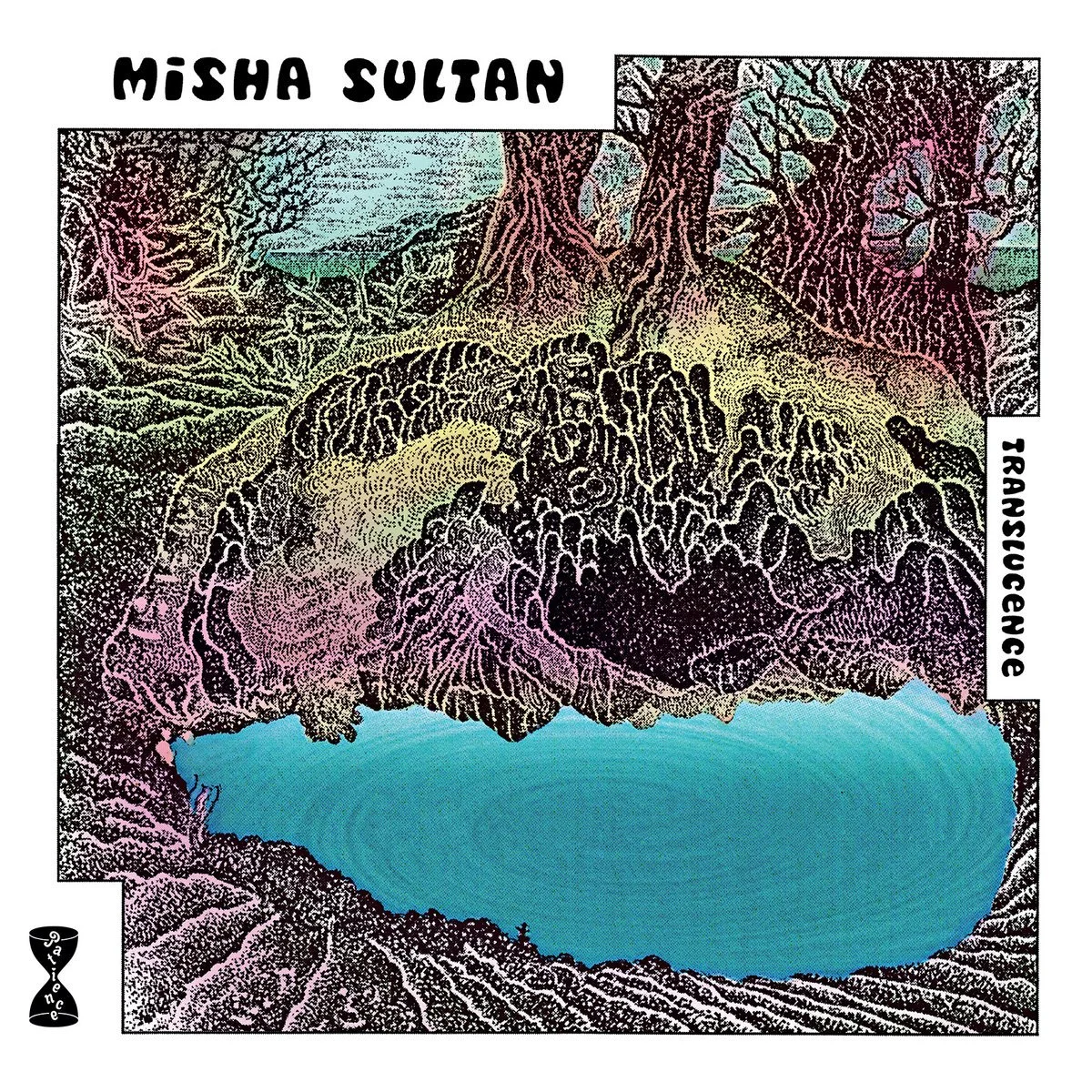 Misha Sultan- "Not Every Lake Dreams Of Being A Magic Swamp"