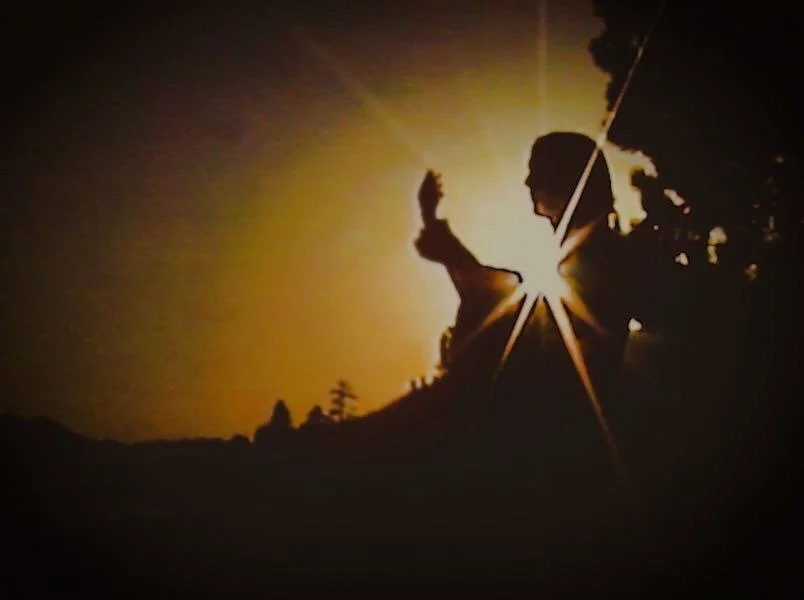 Sylvie- "Up On The Wind"