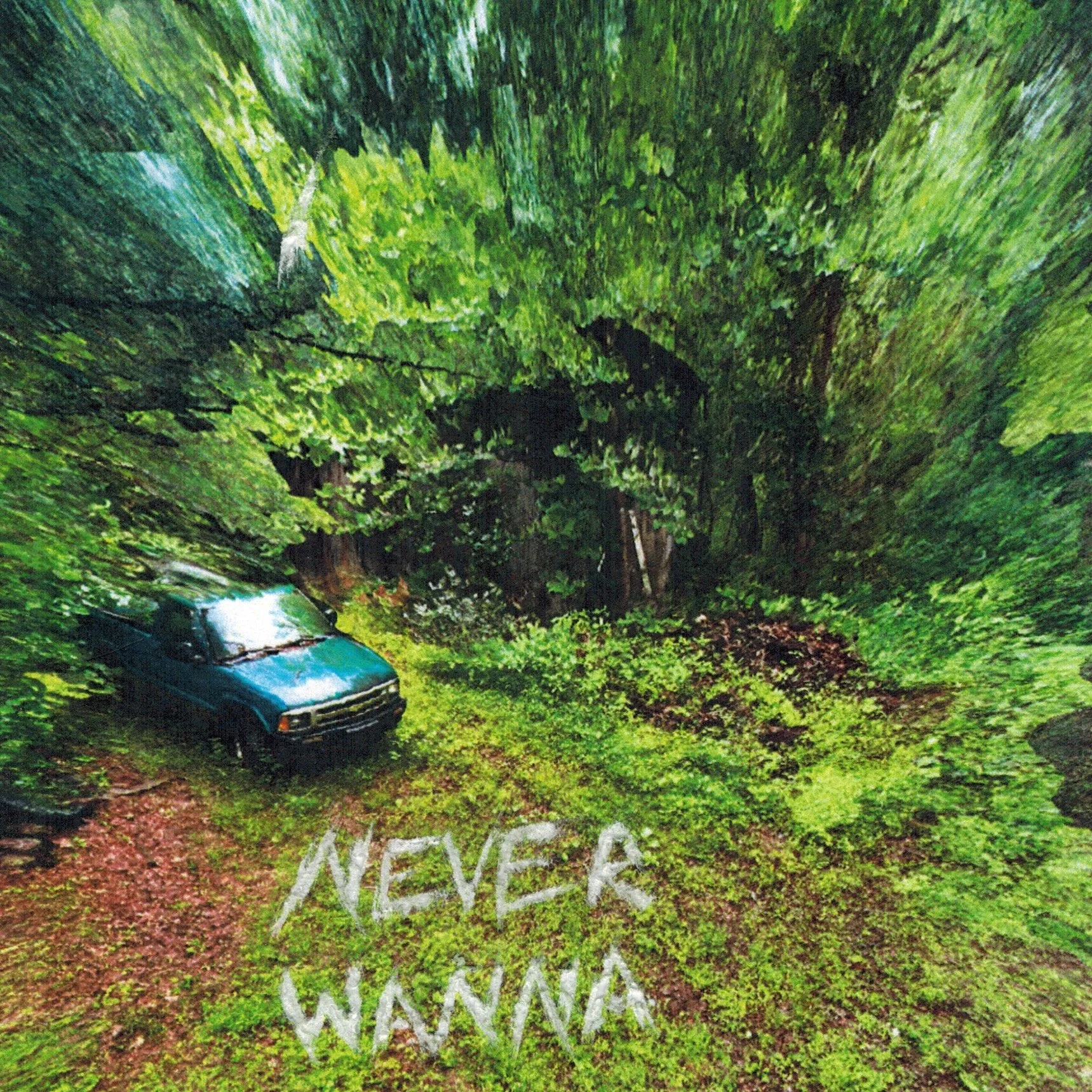 Colin Miller- "Never Wanna"