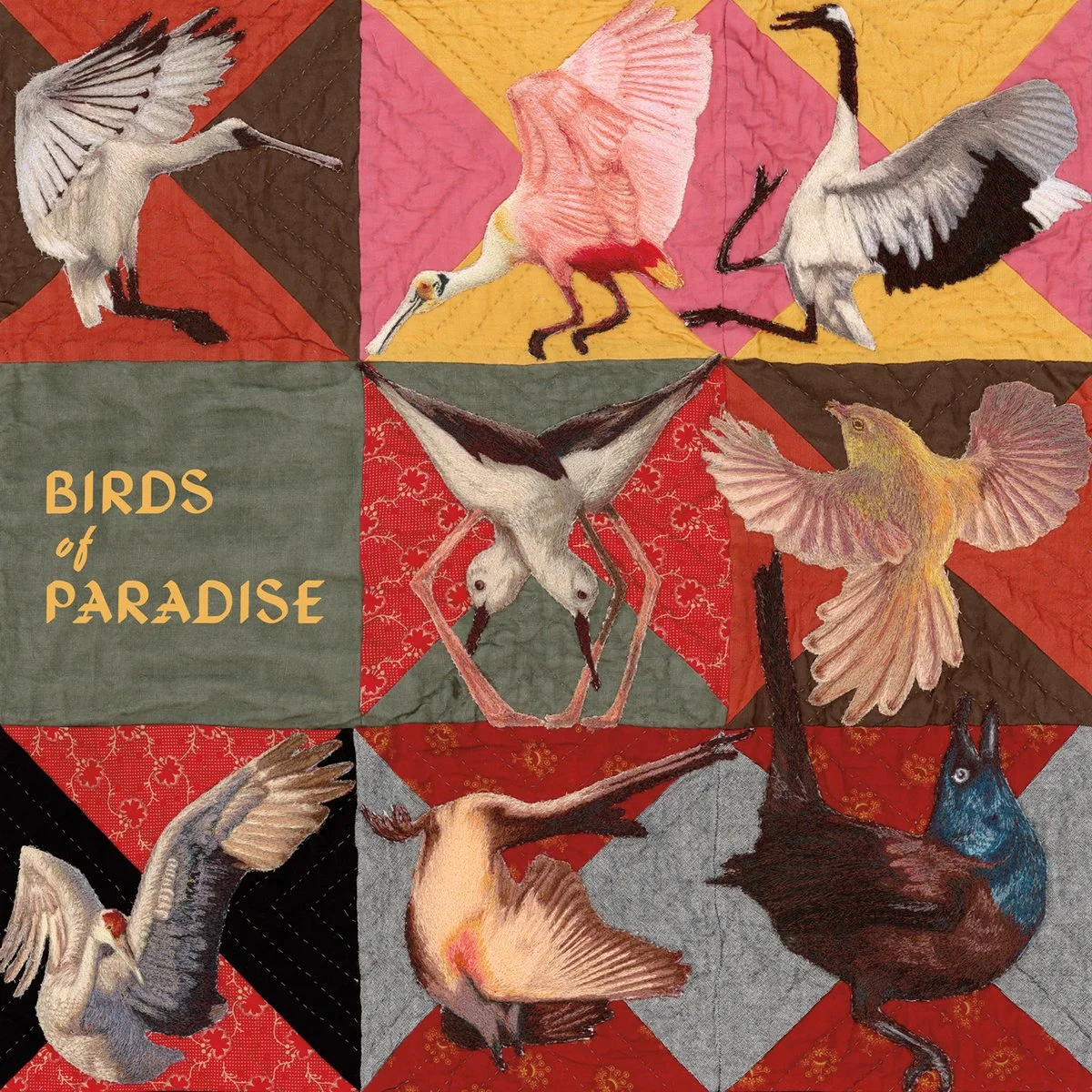 Thomas Dollbaum- Birds of Paradise