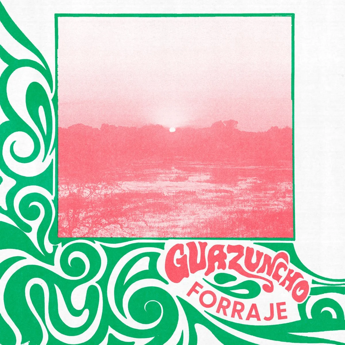 Guazuncho- Forraje
