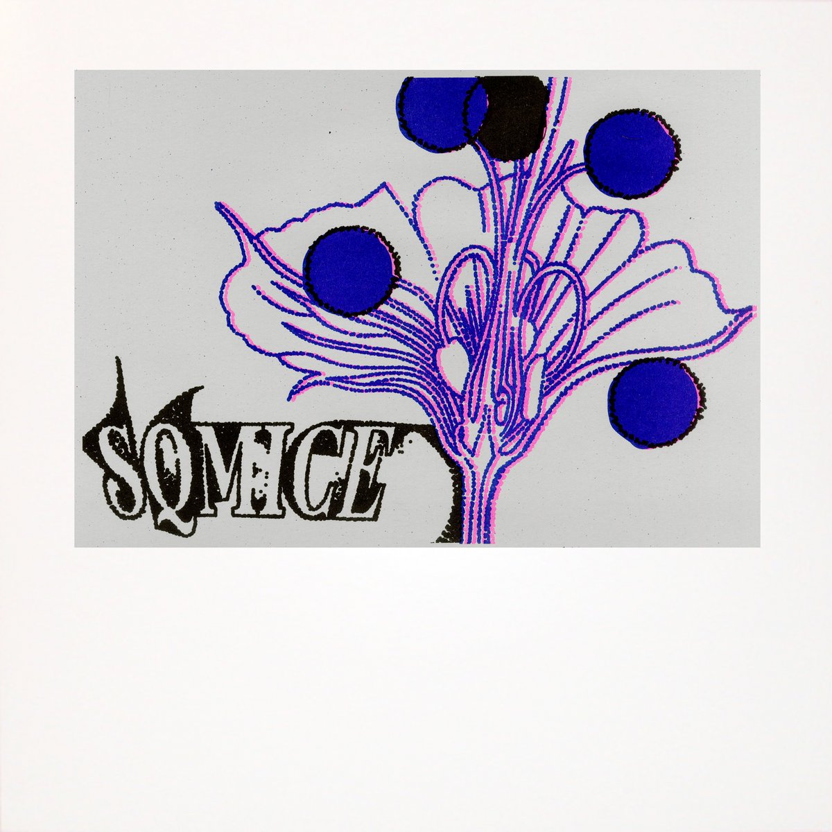 SQ Mice- S/T