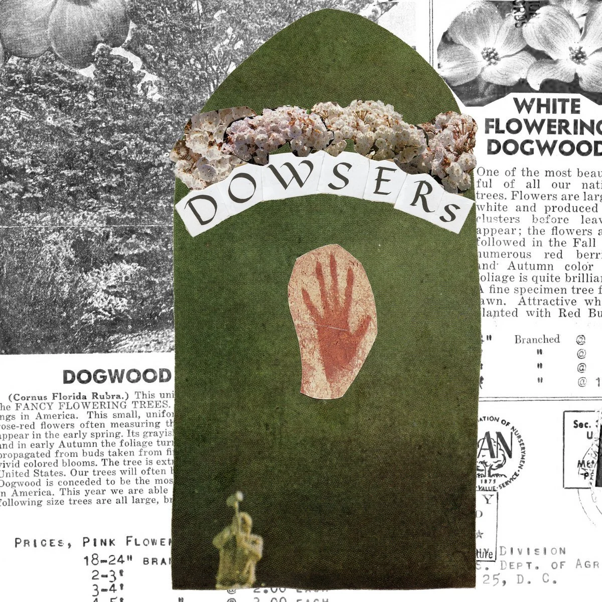 Dowsers- Dogwood / Three Forks of Cheat