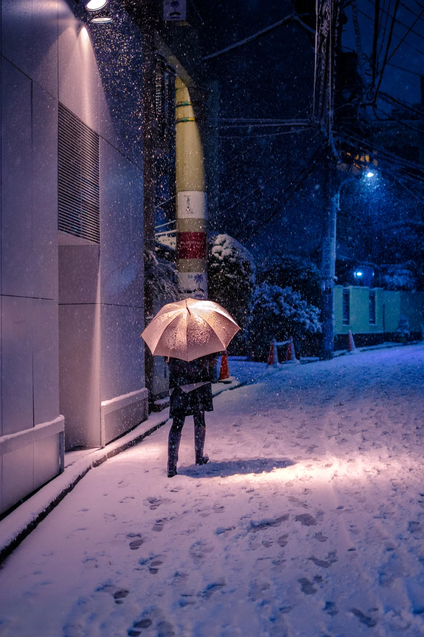 Tokyo covered in snow on 22 January 2018