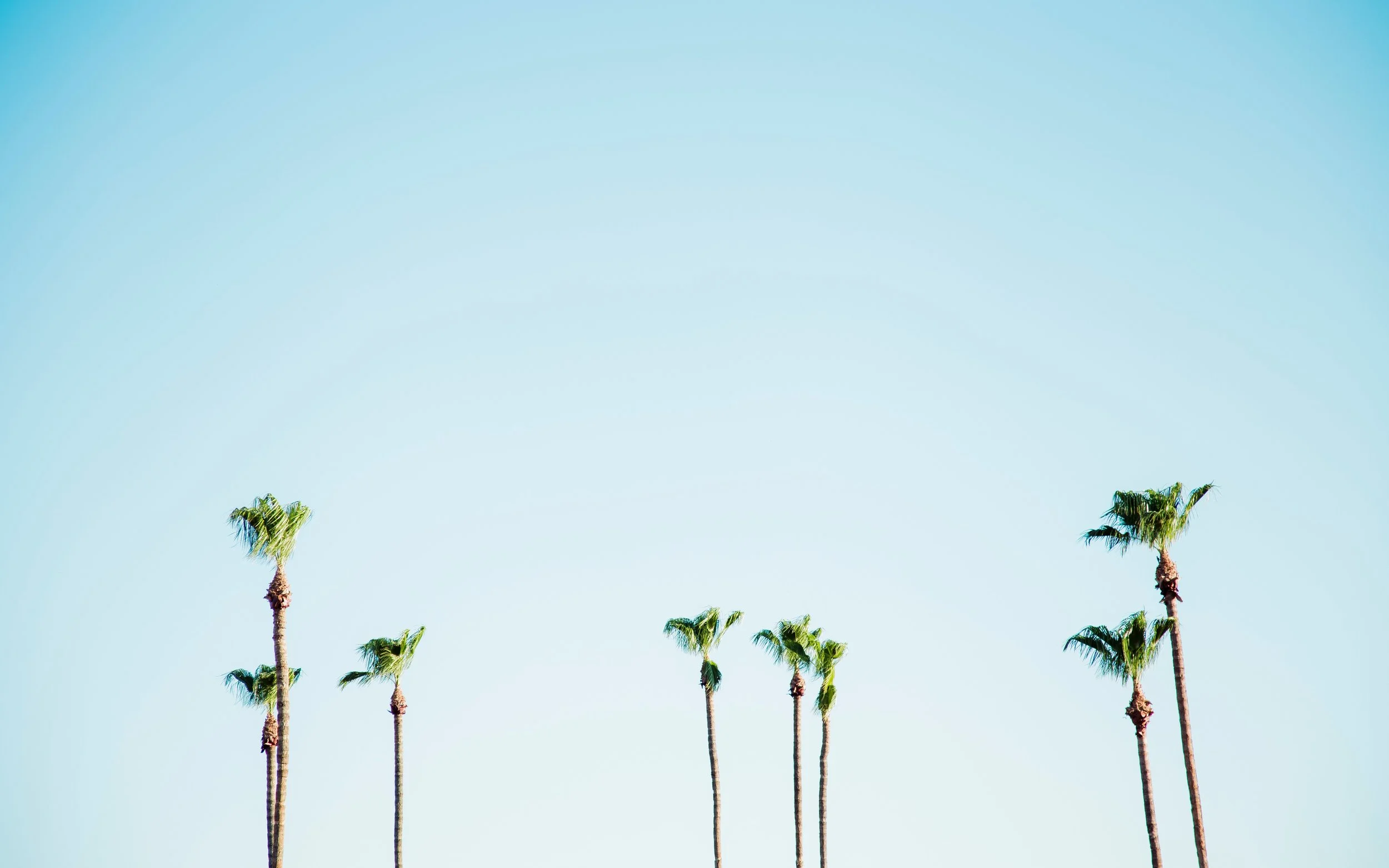justyn-warner-519454-unsplash.jpg