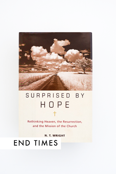 End Times | Revelation Book Reviews