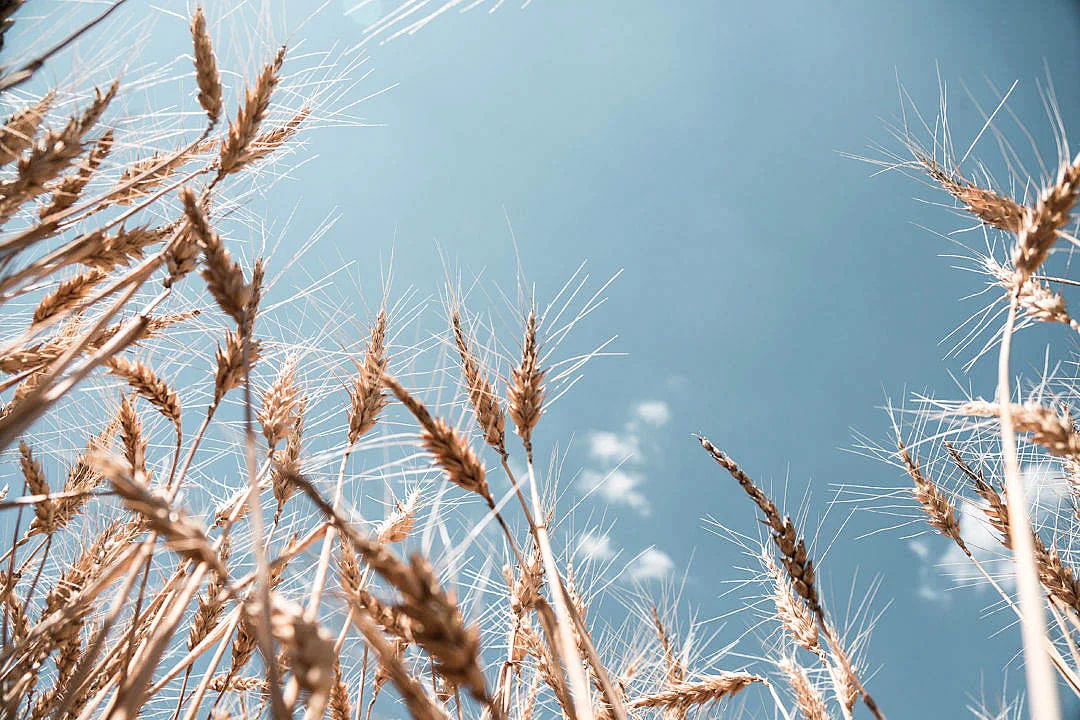 Day 2: Engage With The Authors.