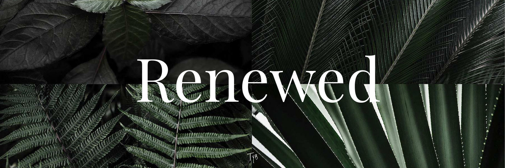 Copy of Renewed.png