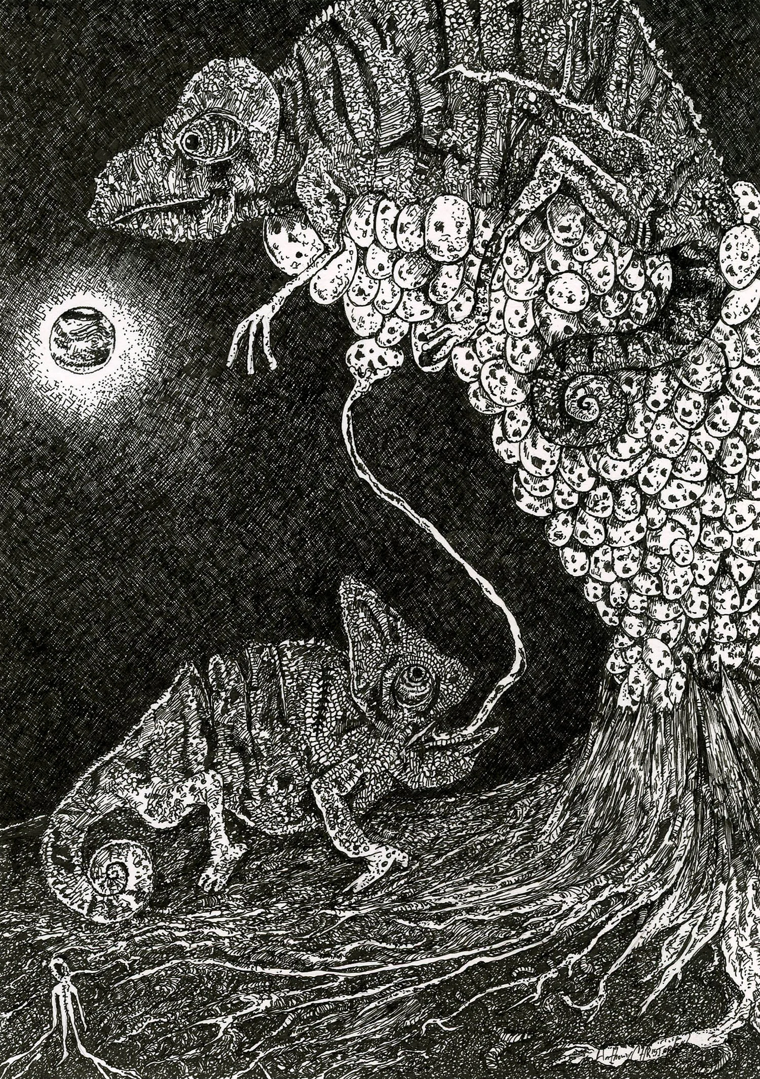 chameleon_LARGE.jpg