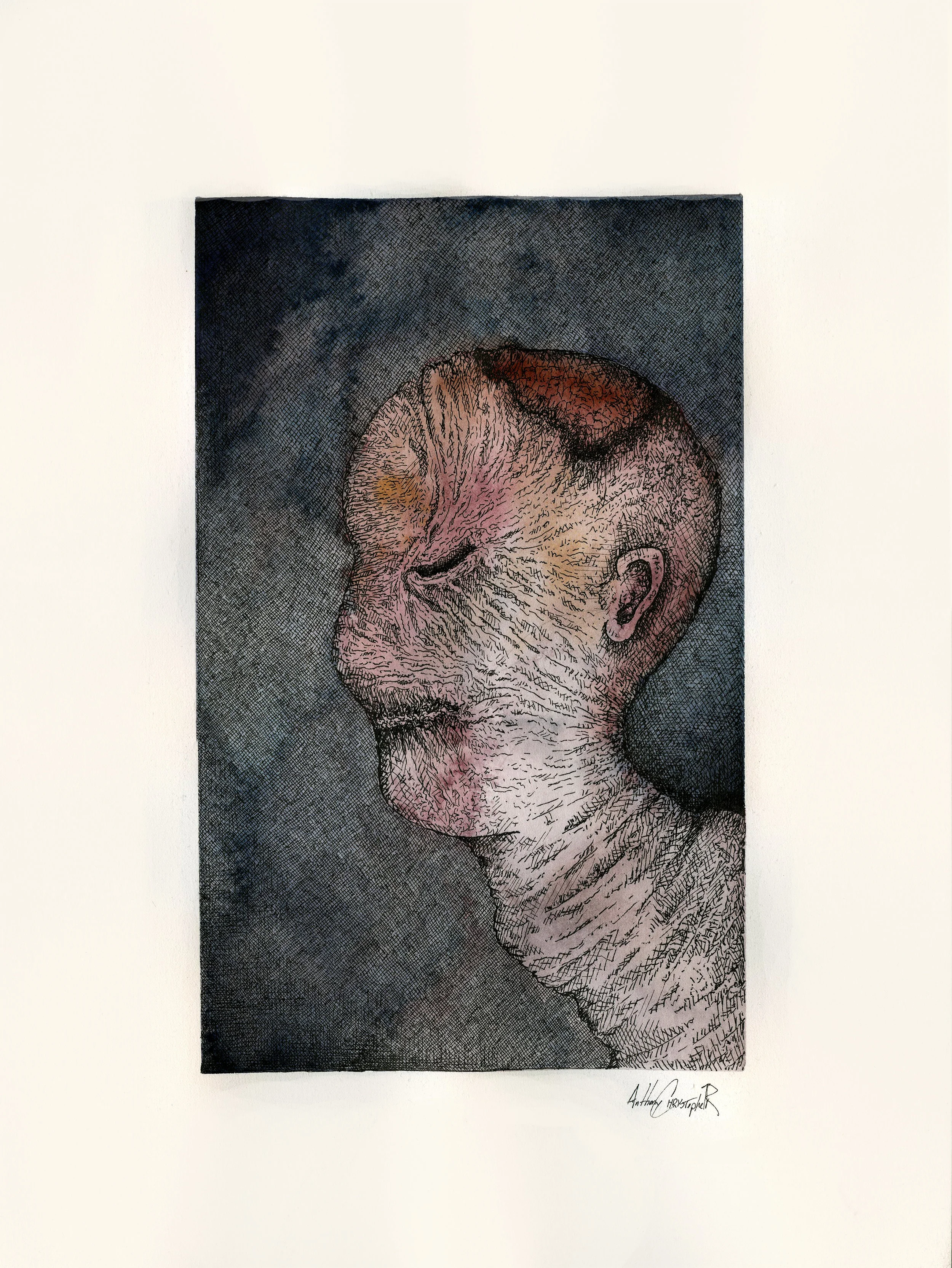Grub Head_large.jpg
