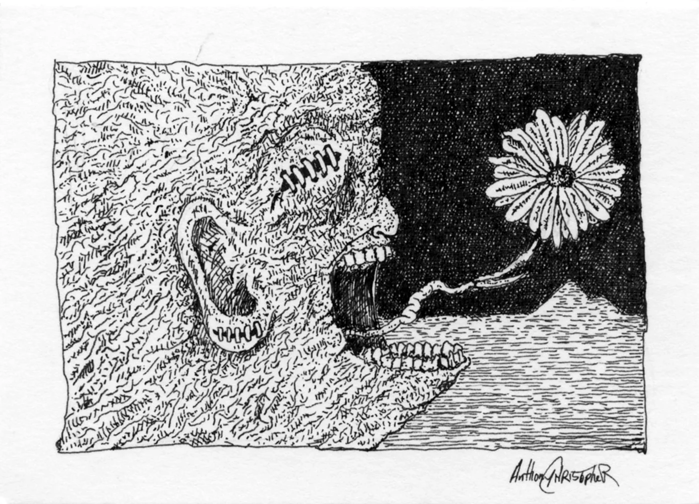 Daisy burp299.jpg