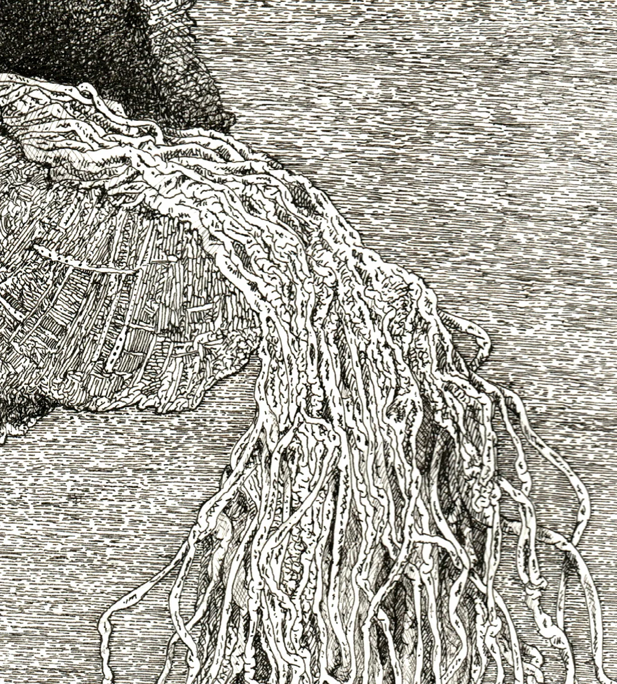 Devoid_detail3jpg