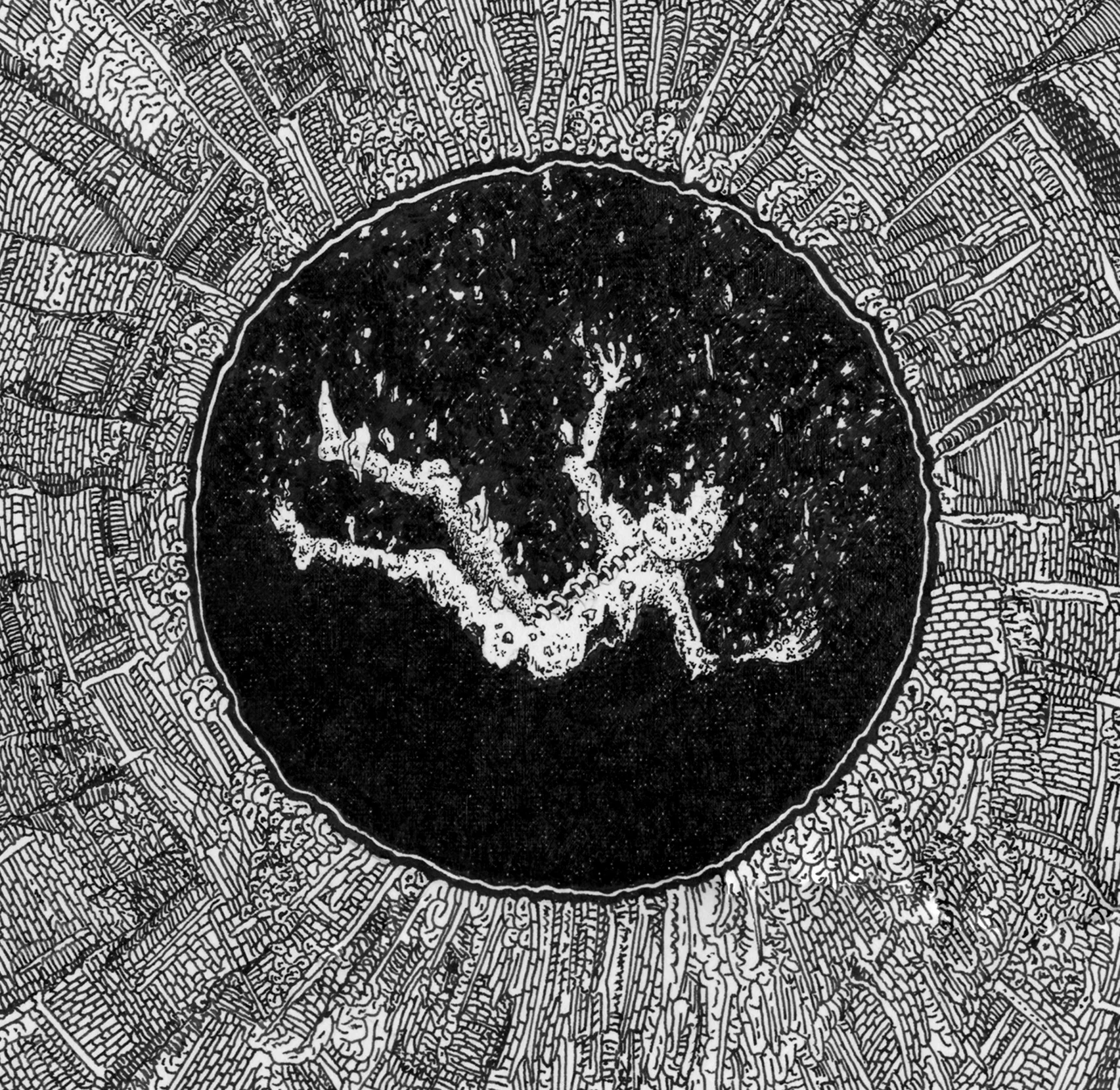Vertigo_detail1.jpg