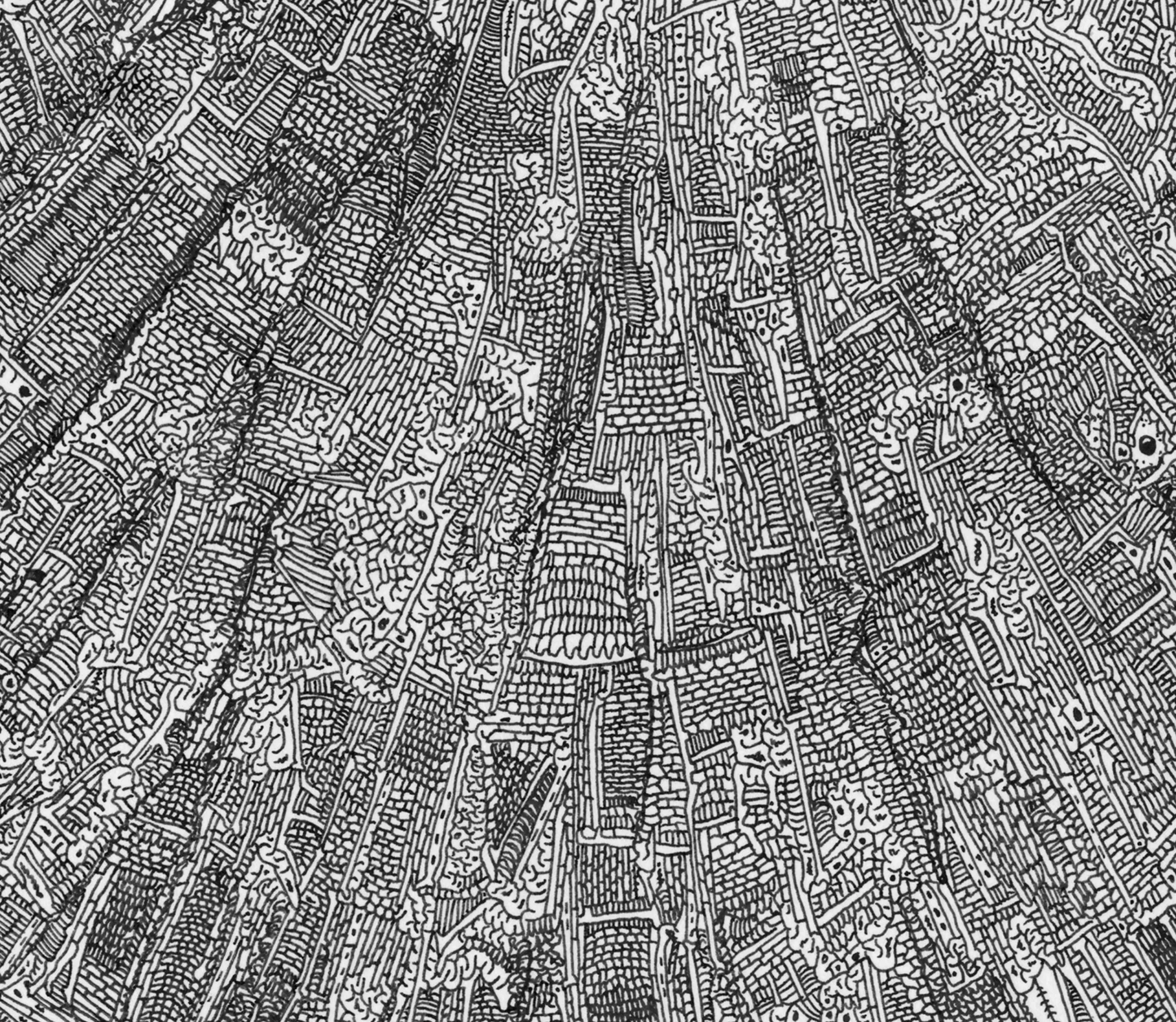 Vertigo_detail2.jpg