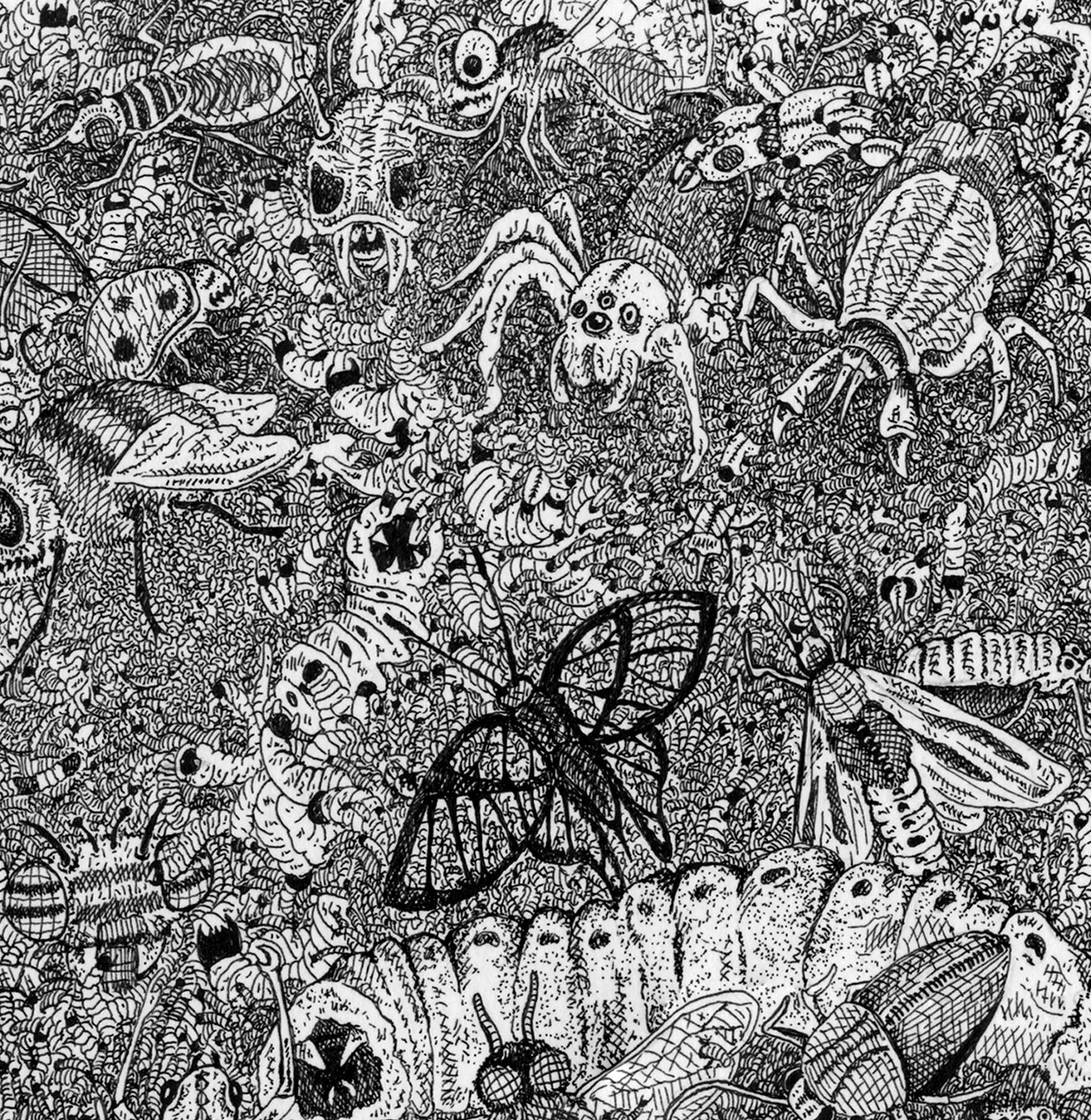 Entomophobia (fear of insects) — Anthony Christopher Art