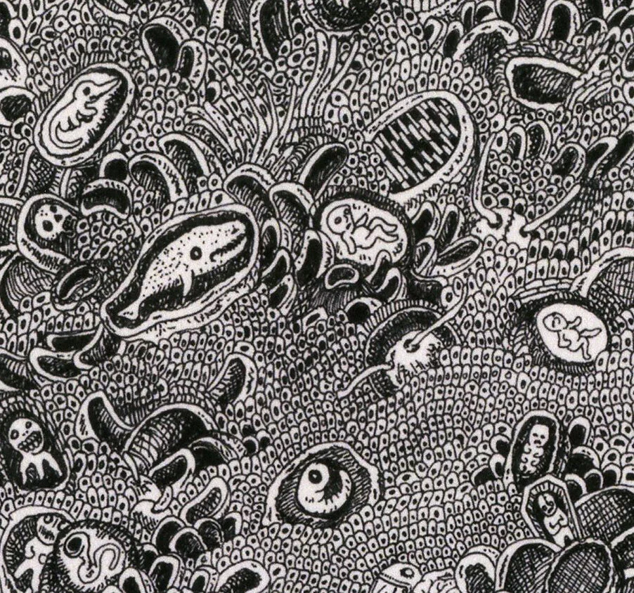 Cells_print_detail1.jpg