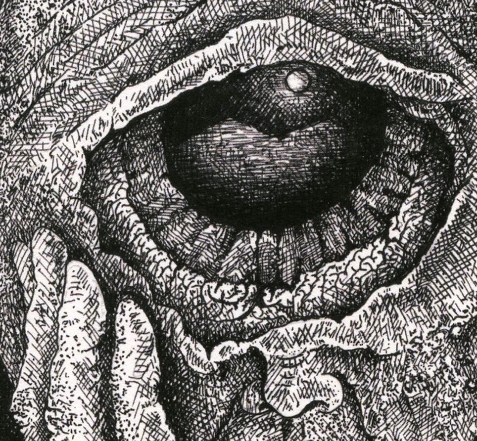 Daydreaming_[rintt_detail.jpg