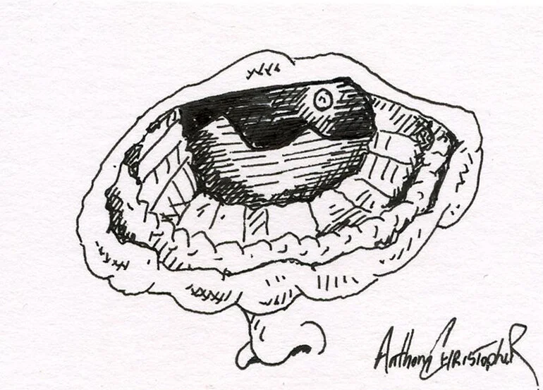 Daydreaming_[rint_doodle835.jpg