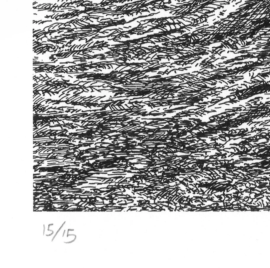 Sanctuary_print_detail3.jpg