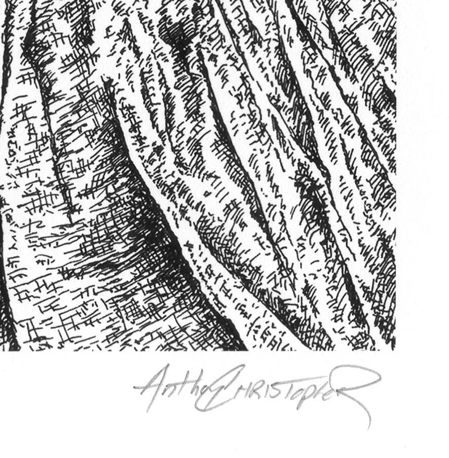 Sanctuary_print_detail4.jpg
