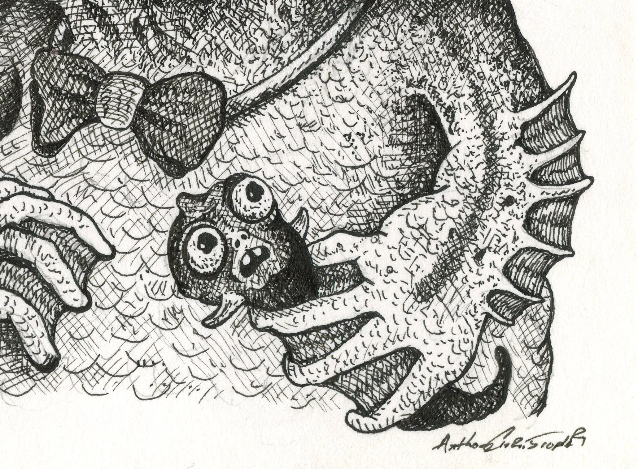 Fish_Detail3.jpg