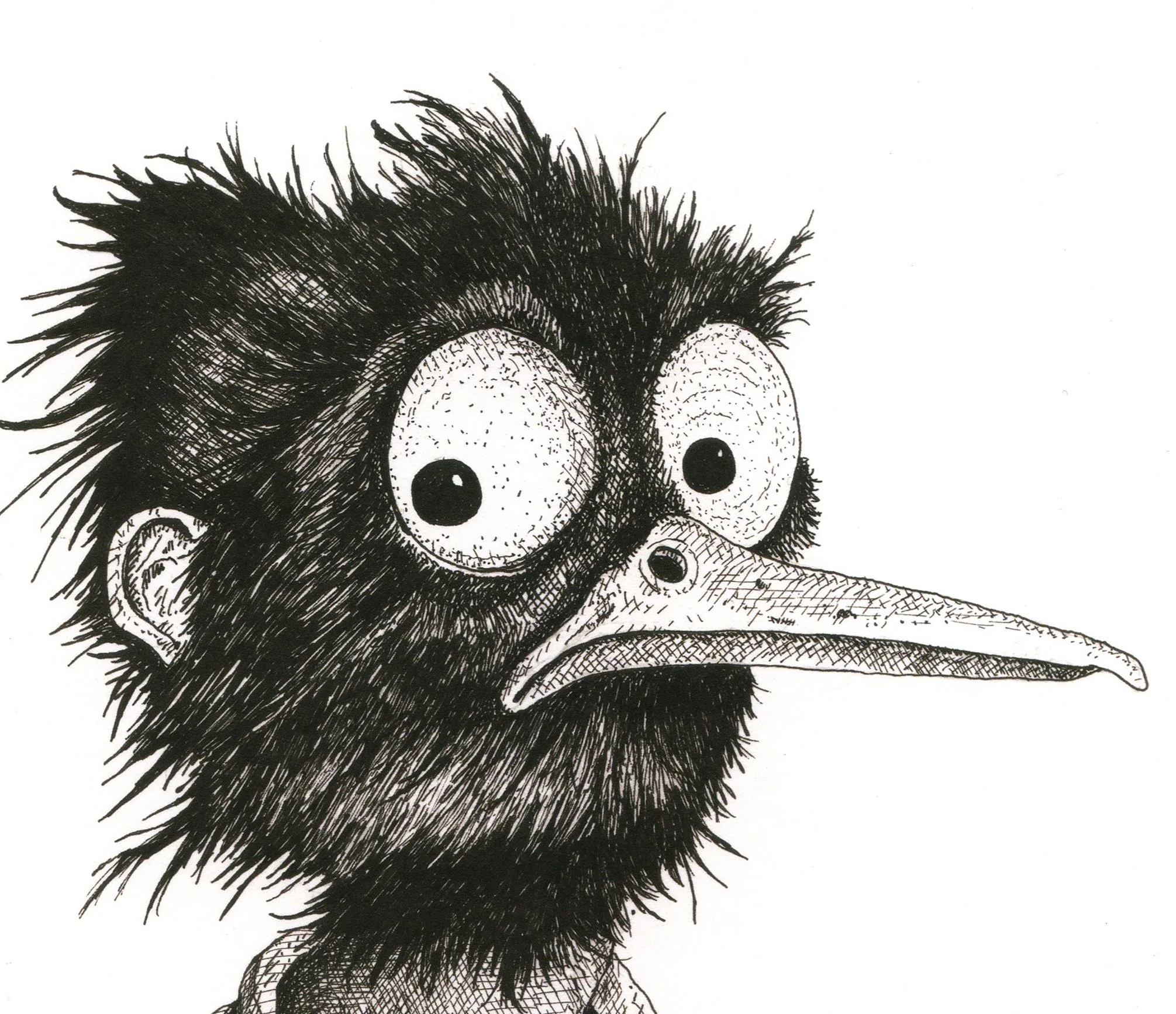 Bird_print_detail1.jpg
