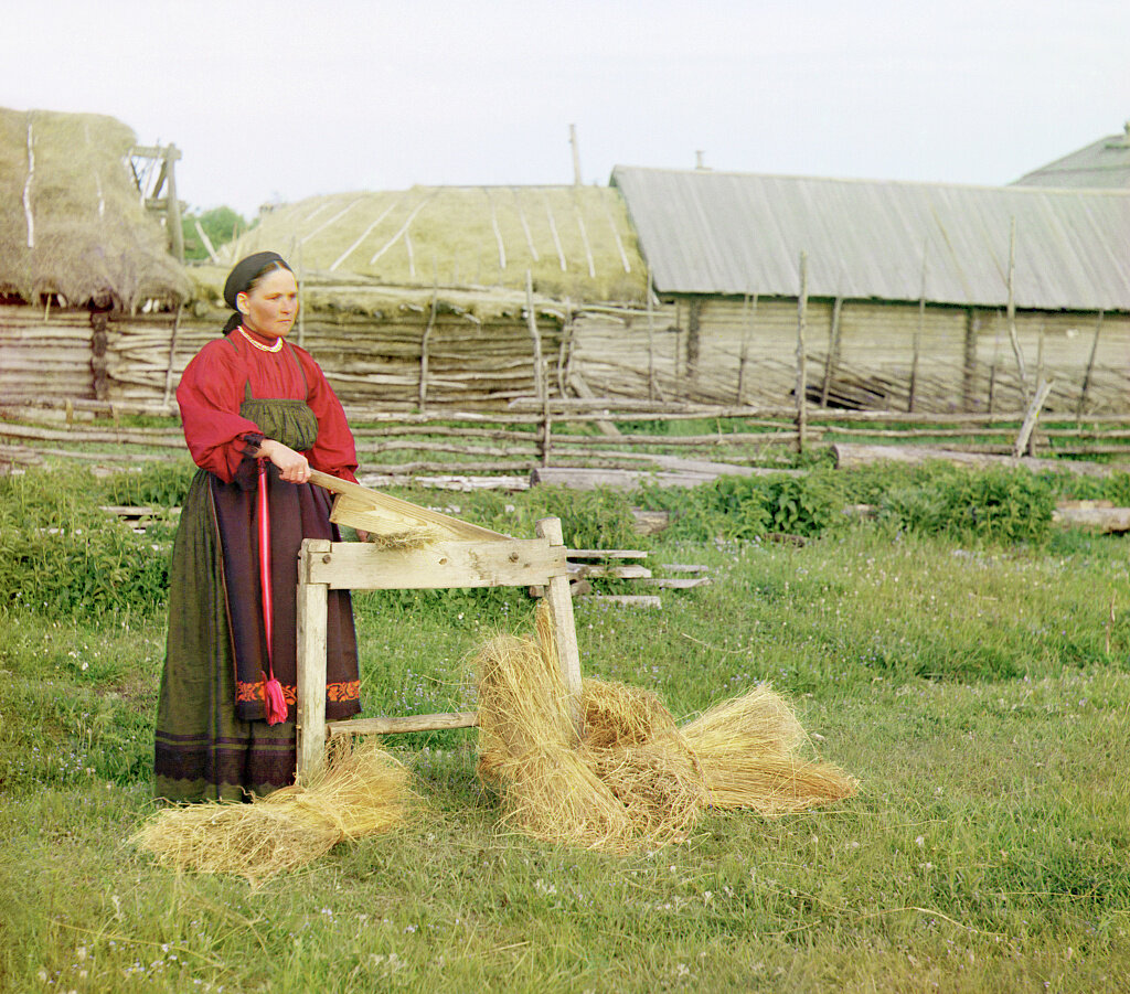 peasant cutting hay.jpg