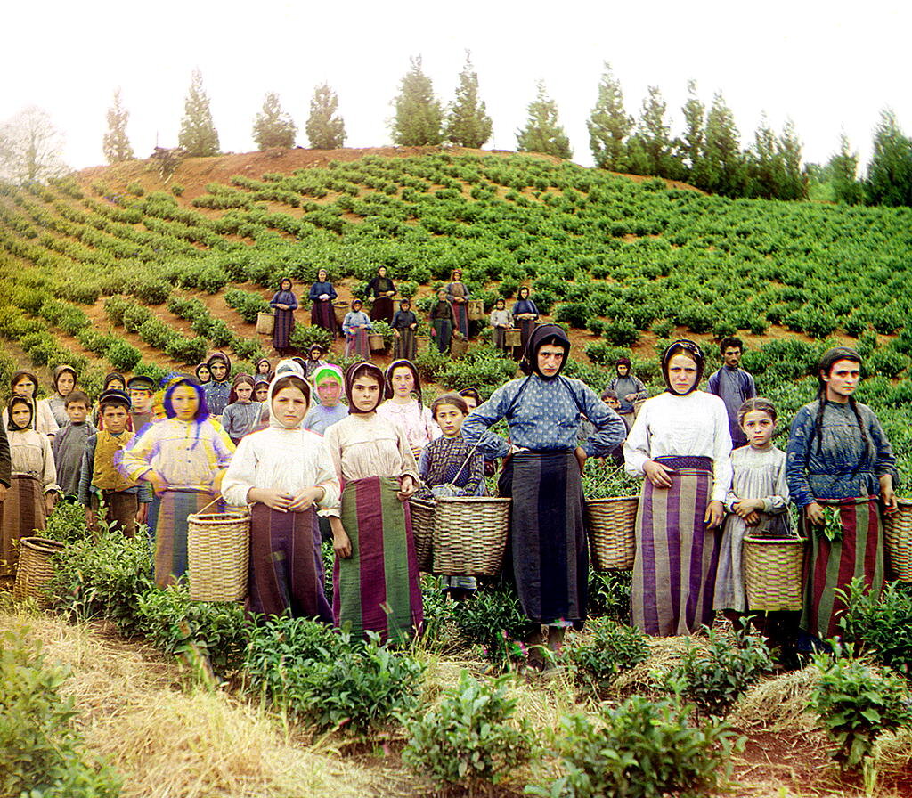 peasants at harvest.jpg