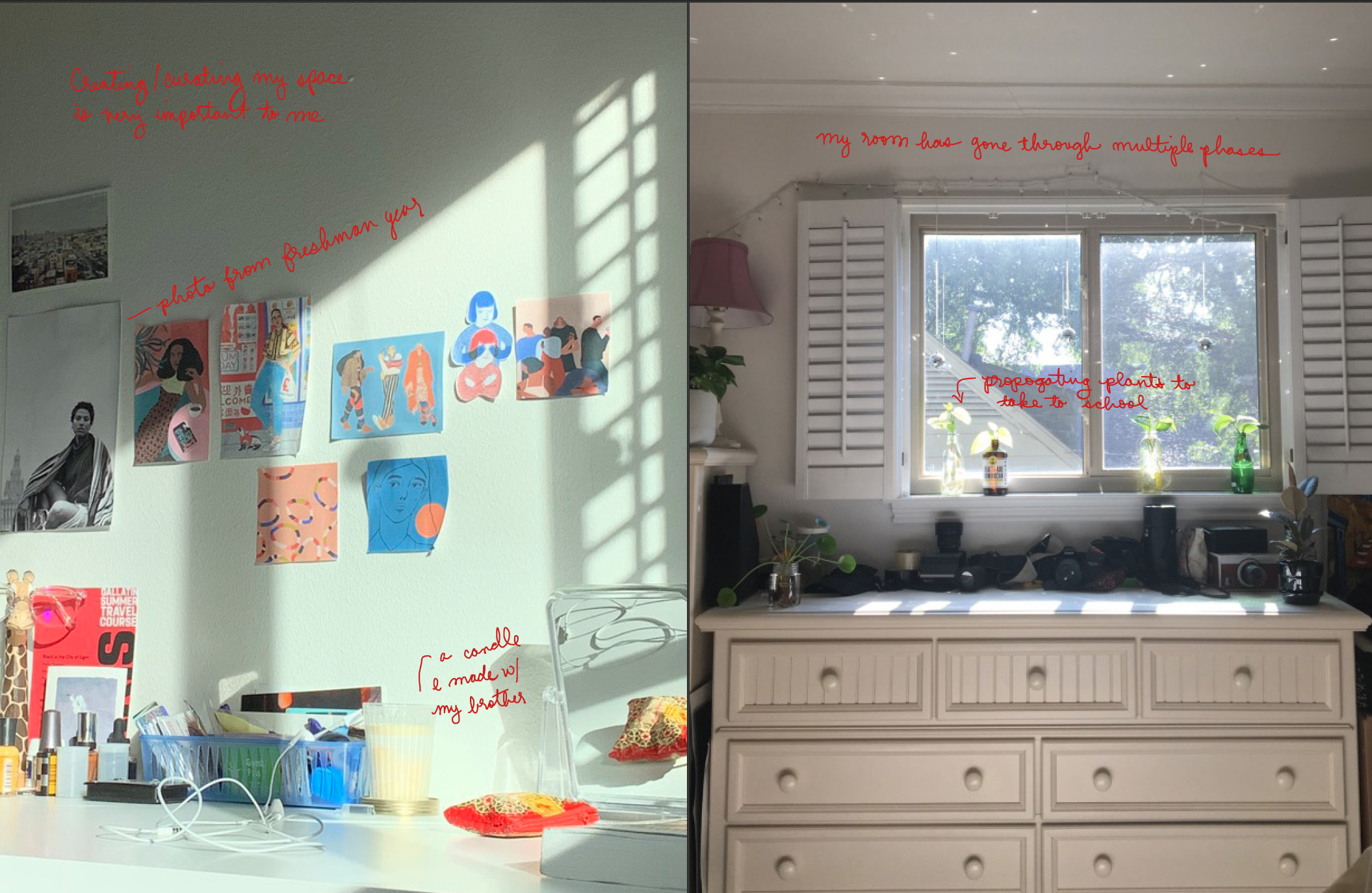 “Creating/curating my space is very important to me.” “photo from freshman year” “a candle I made w/my brother” “my room has gone through multiple phases” “propagating plants to take to school”
