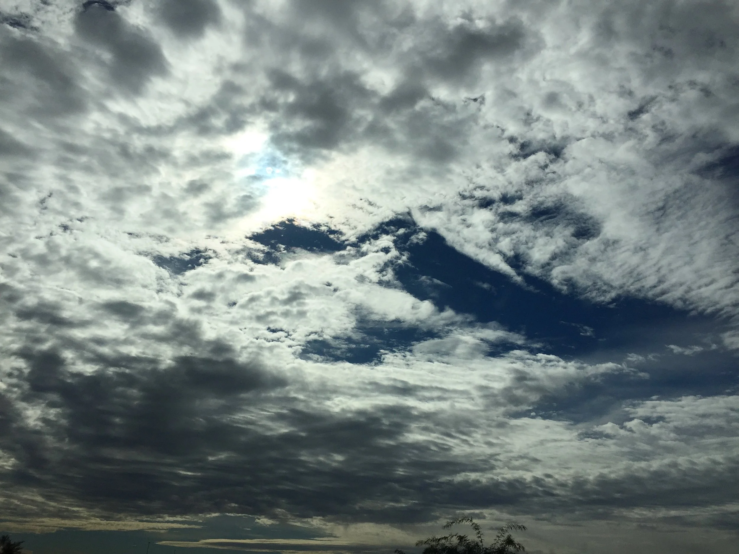 "Once the storm is over, you won’t remember how you made it through, how you managed to survive. You won’t even be sure, in fact, whether the storm is really over. But one thing is certain: when you come out of the storm, you won’t be the same person who walked in. And that’s what this storm’s all about."