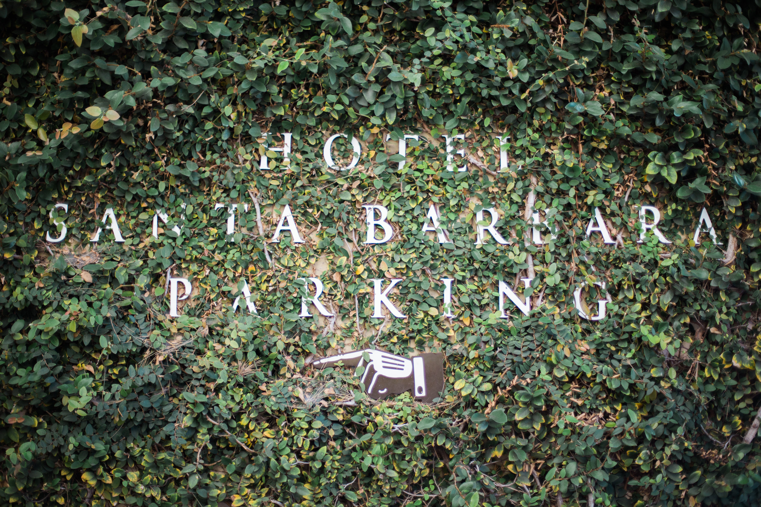 napa valley family + lifestyle photographer | from the pines to the vines