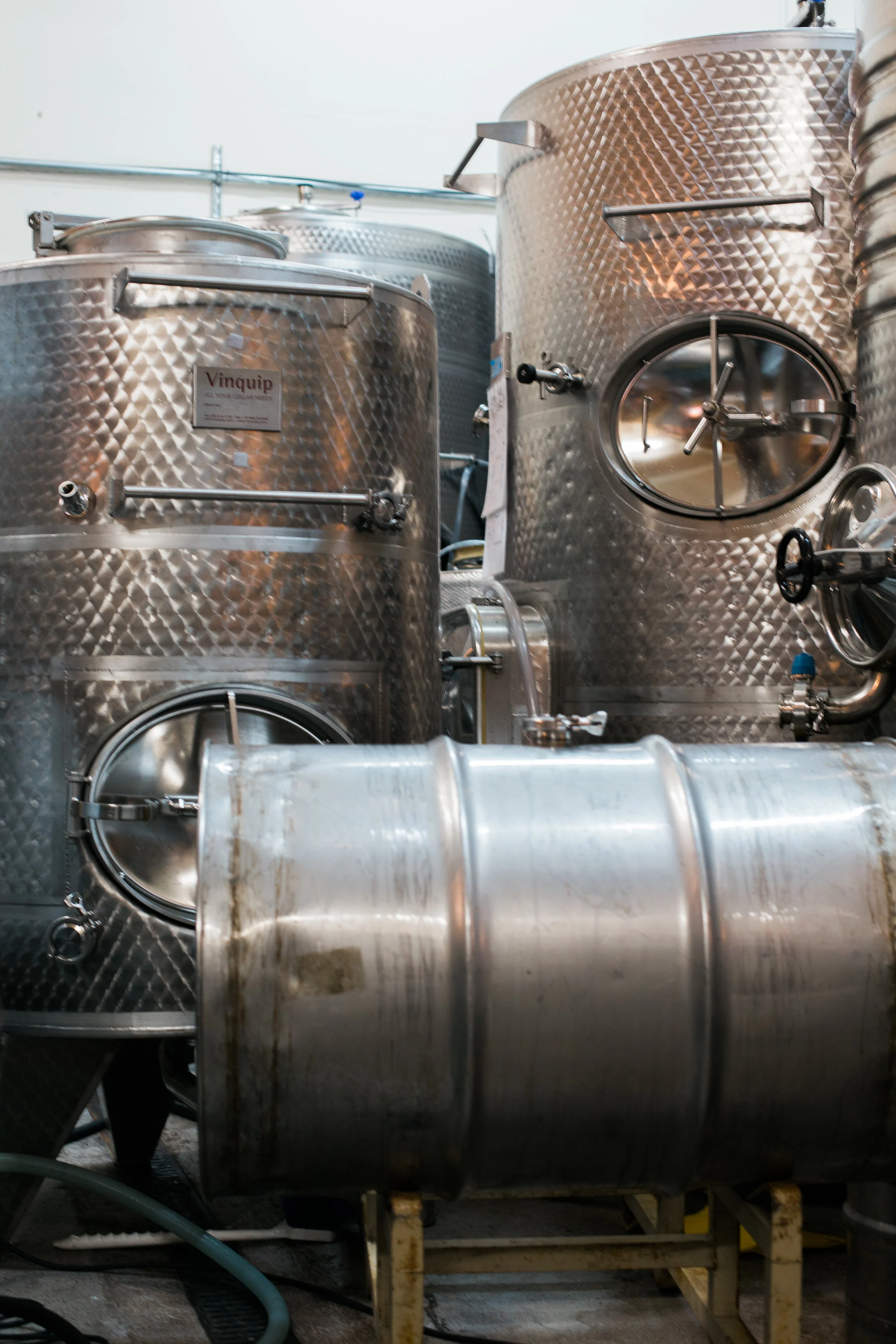 napa valley lifestyle photographer | from the pines to the vines