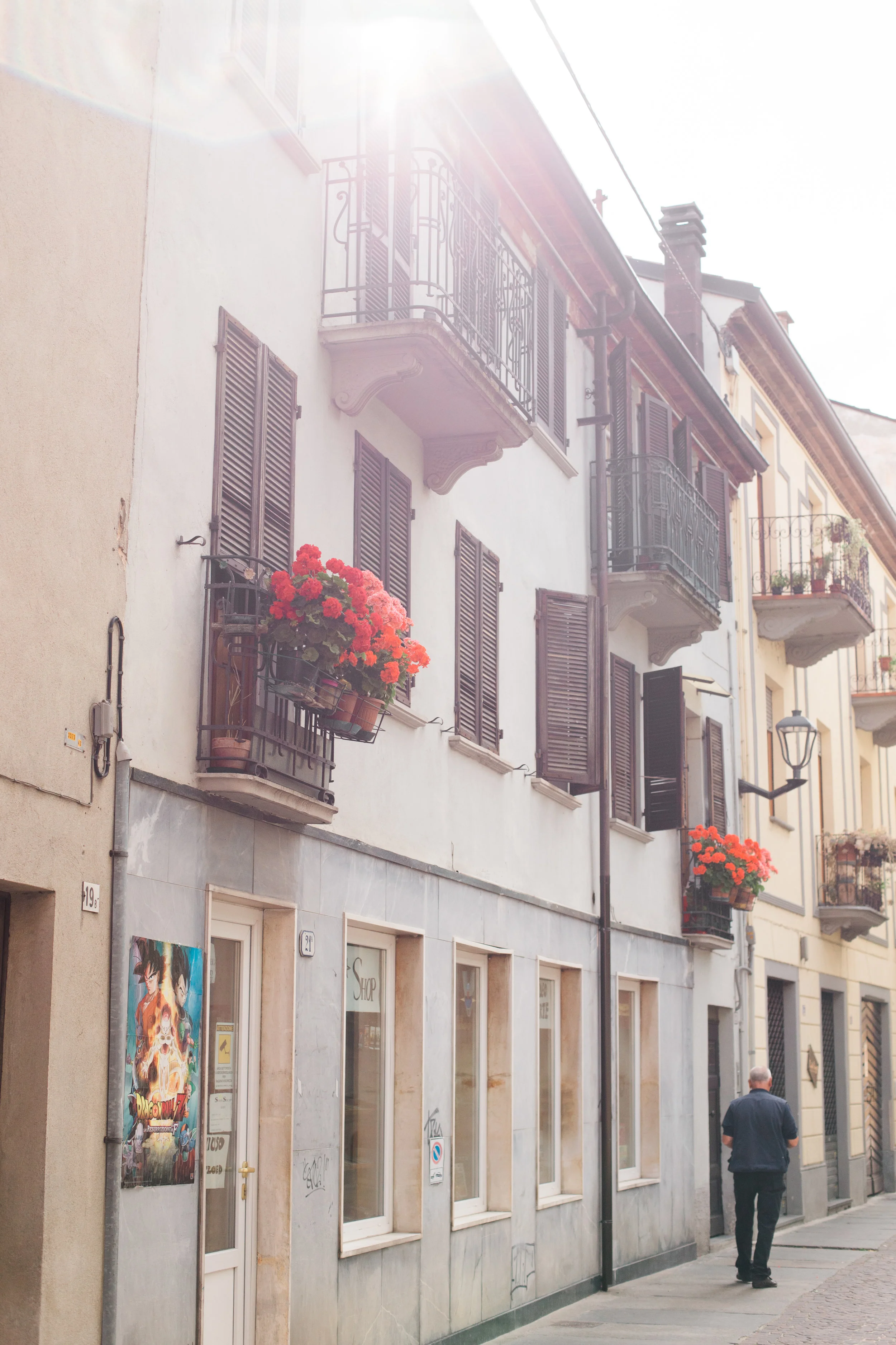 napa valley family + lifestyle photographer | from the pines to the vines