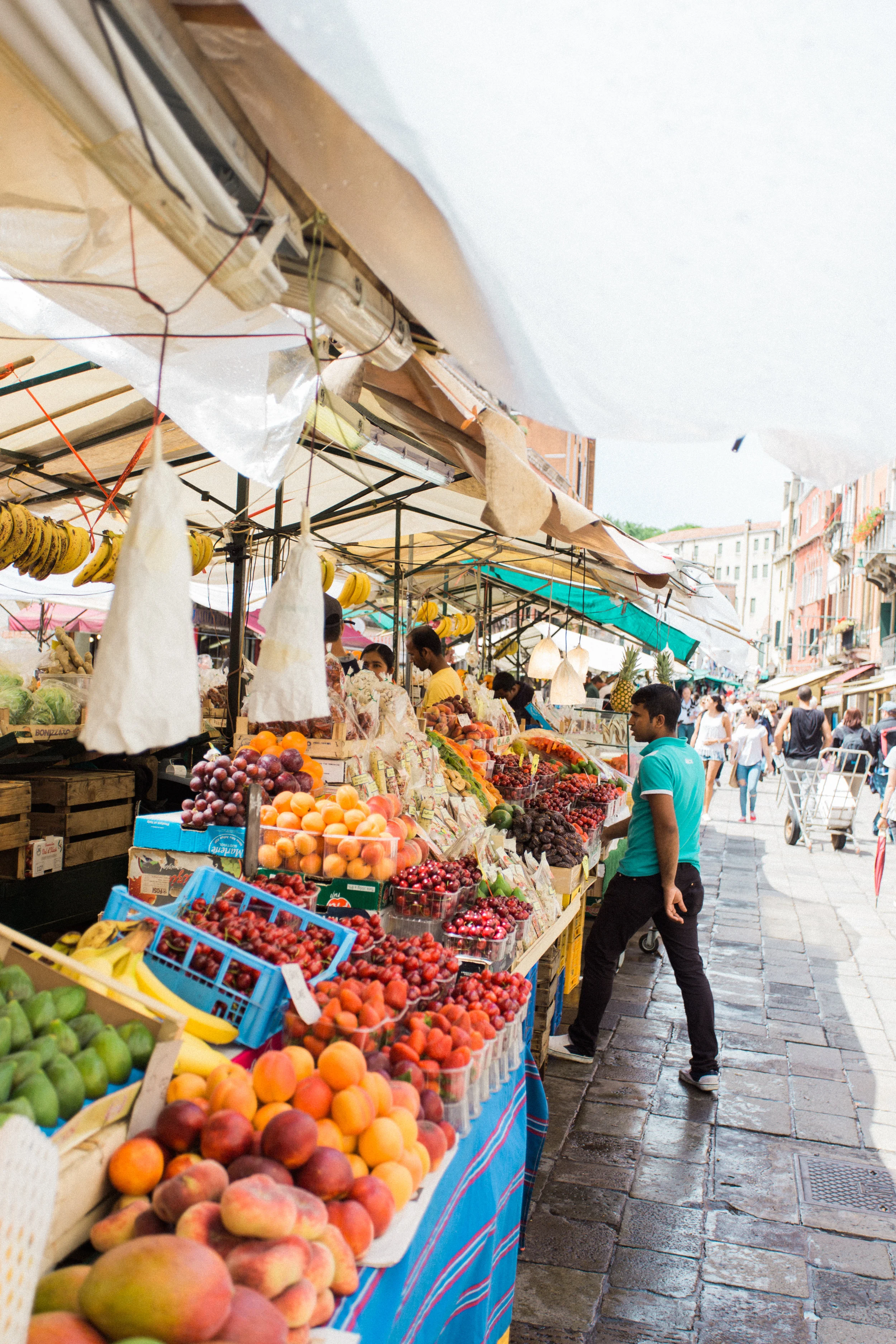 napa valley family + lifestyle photographer | from the pines to the vines