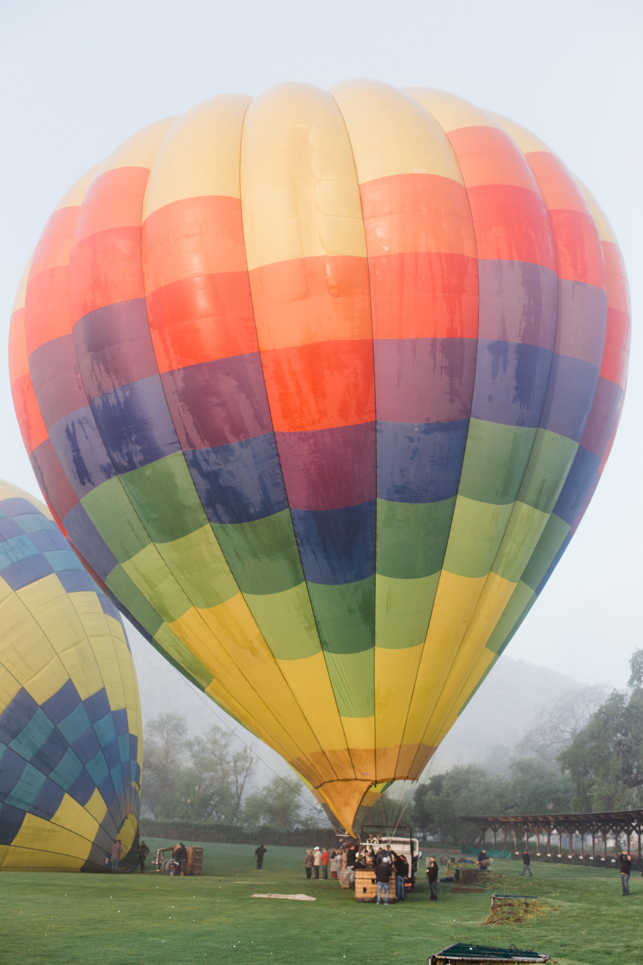 Yountville + Hot Air Balloons-19.JPG
