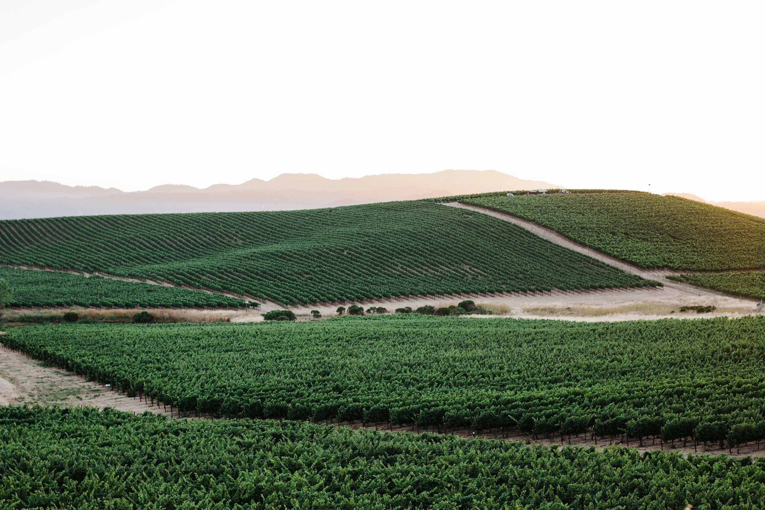 July Third at WHE-1.JPG