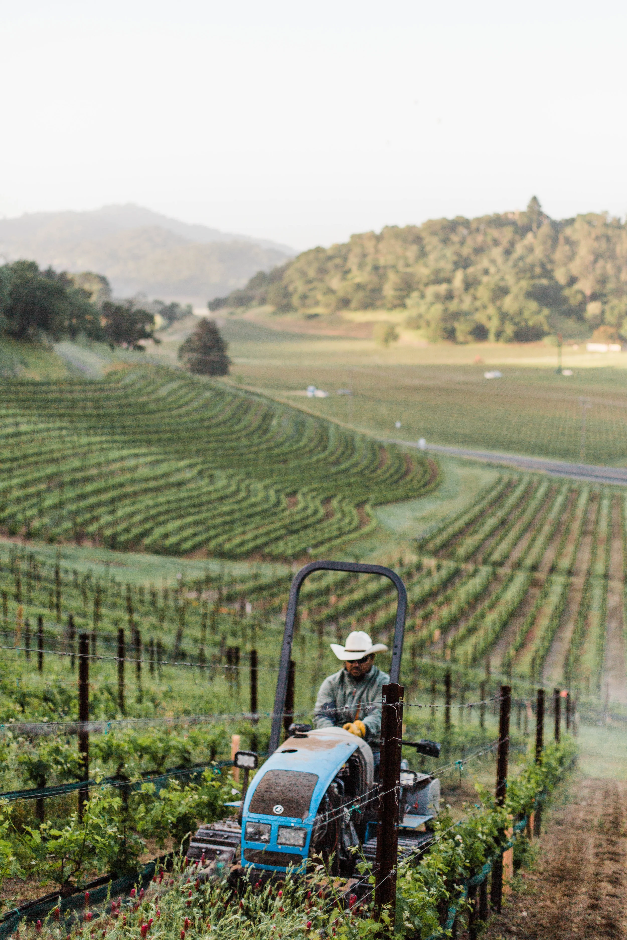 Sarah Anne Risk - NVG April 2019--10.JPG