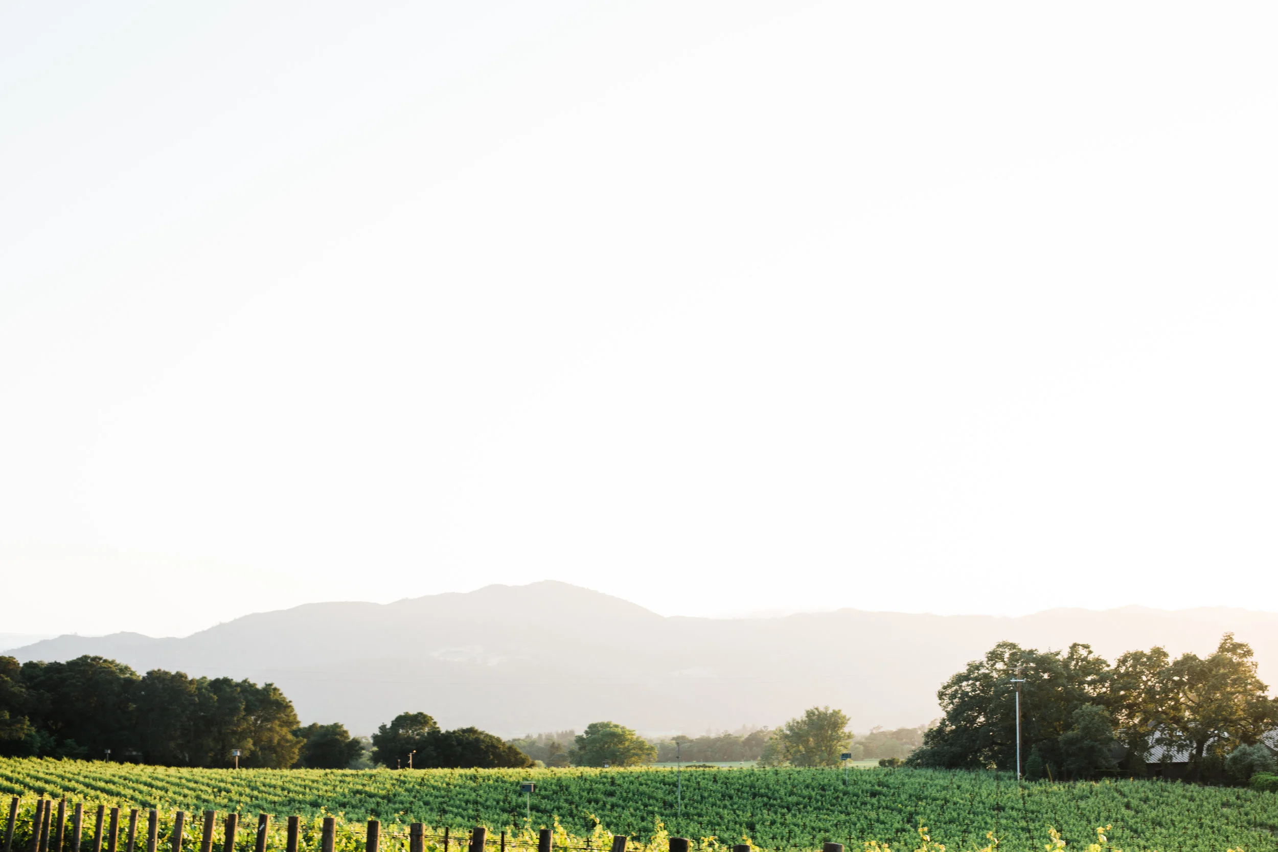 Sarah Anne Risk - NVG June 2018-9.JPG