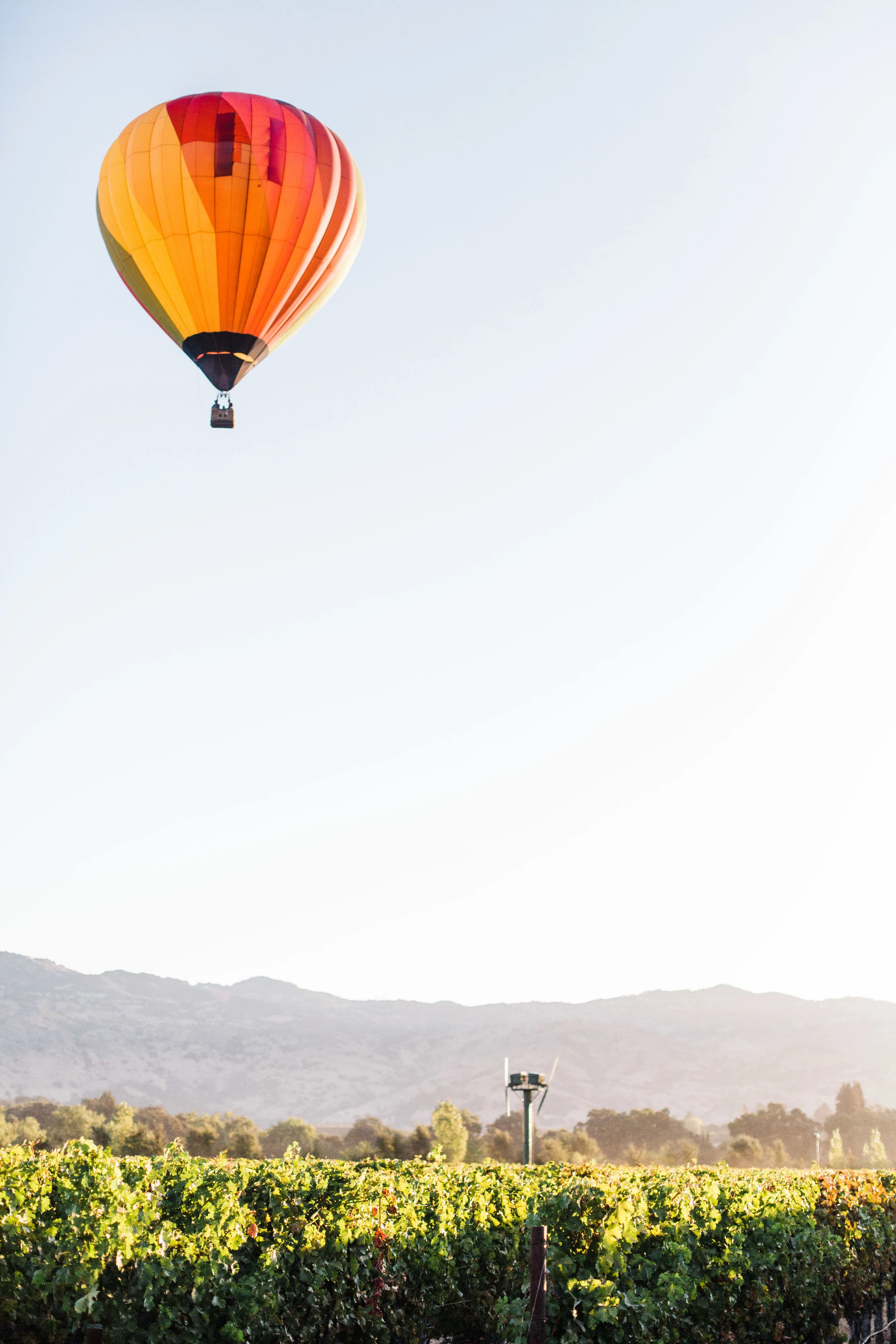 September 2016 - Sarah Anne Risk-79 copy.JPG